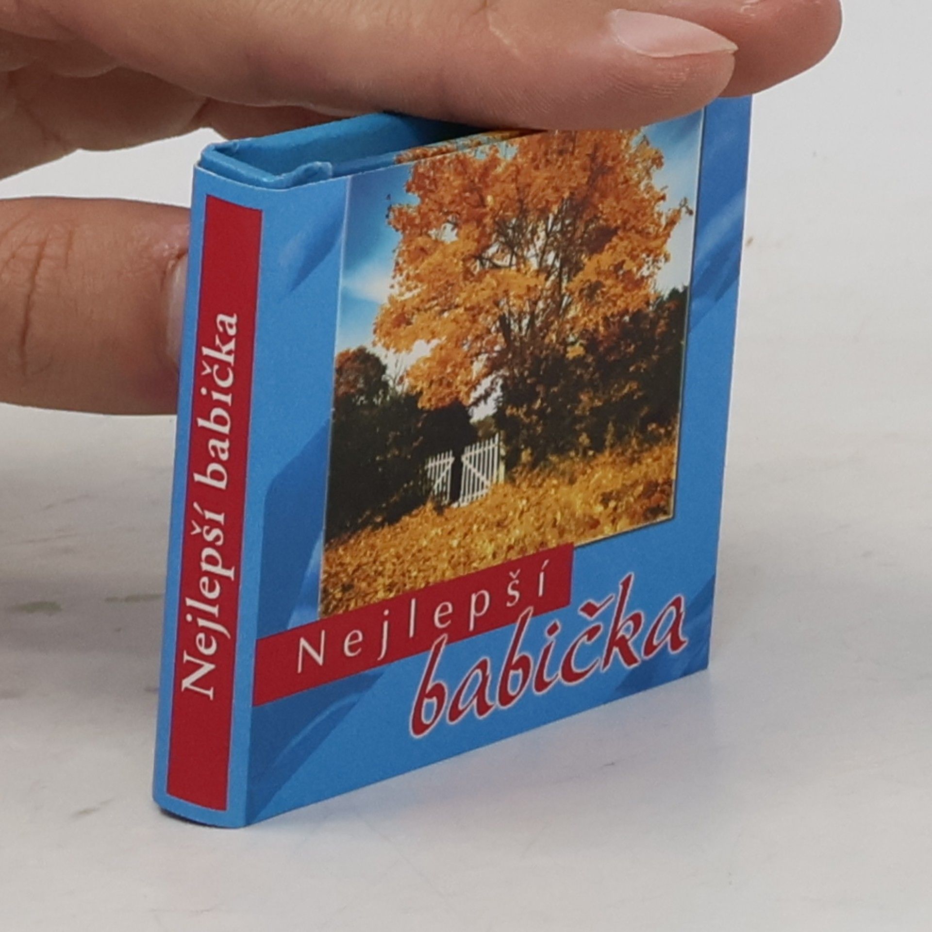 Kolektiv autorů Nejlepší babička