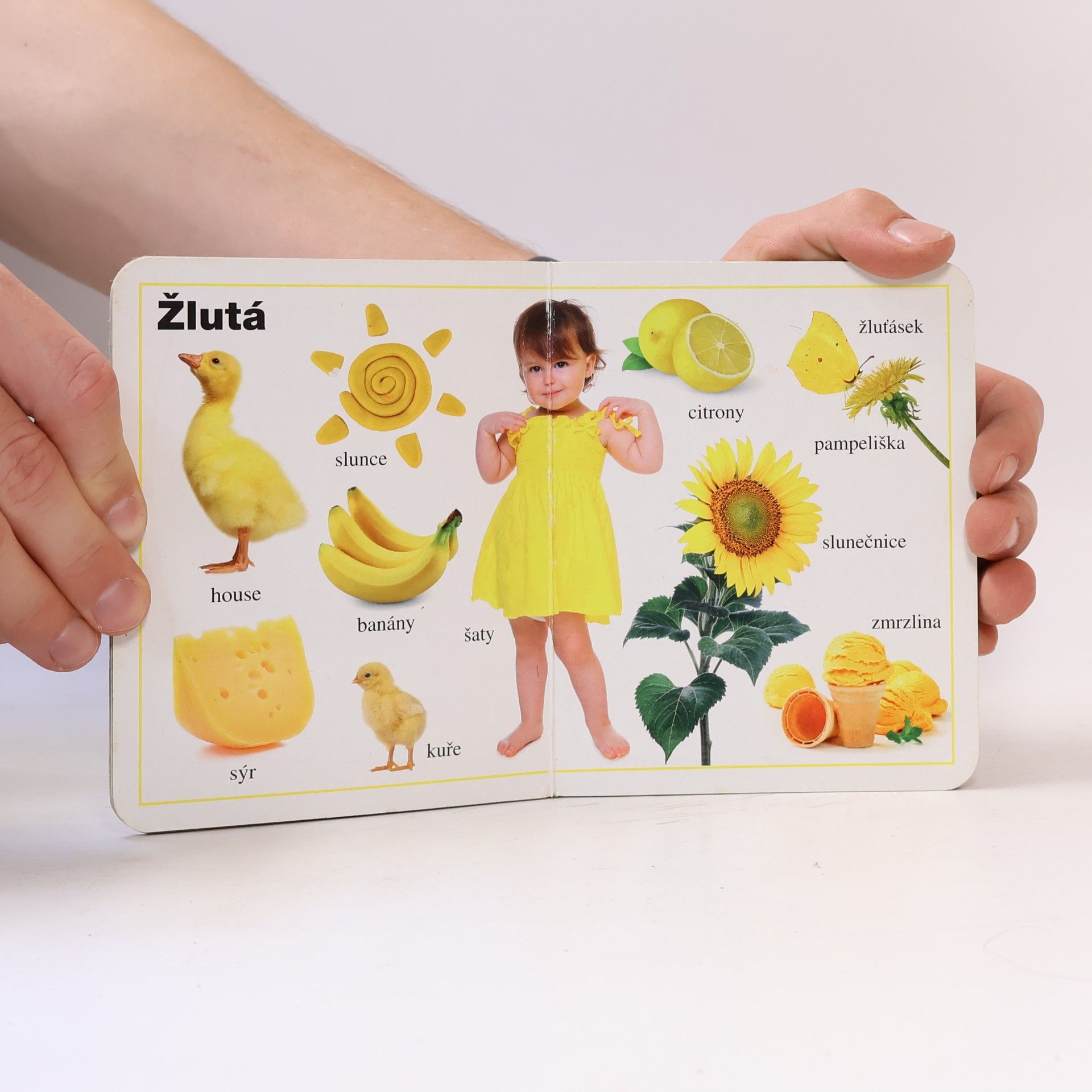 Autorenkollektiv Moje první kniha : Barvy