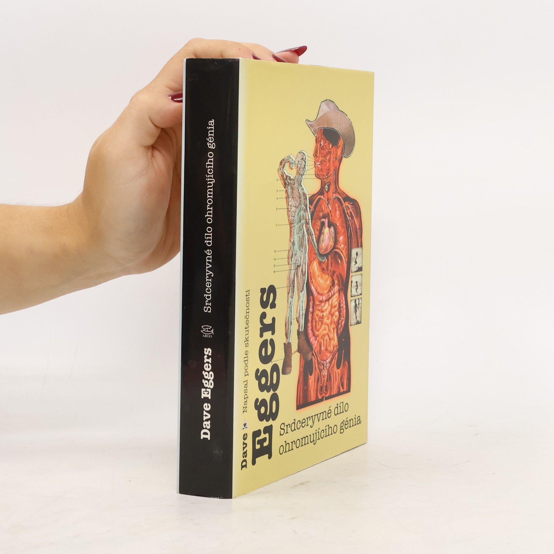 Dave Eggers Srdceryvné dílo ohromujícího génia
