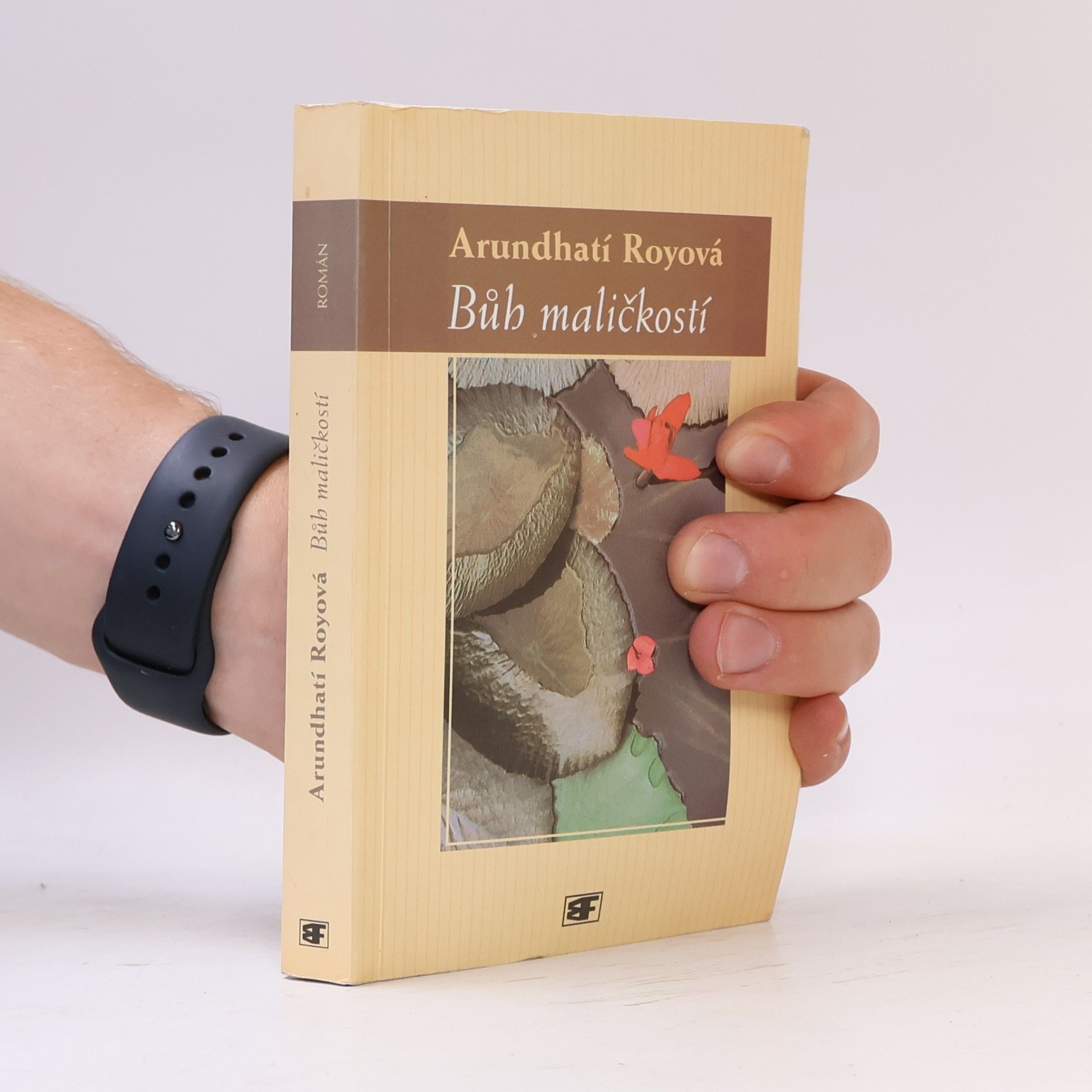 Arundhati Roy Bůh maličkostí