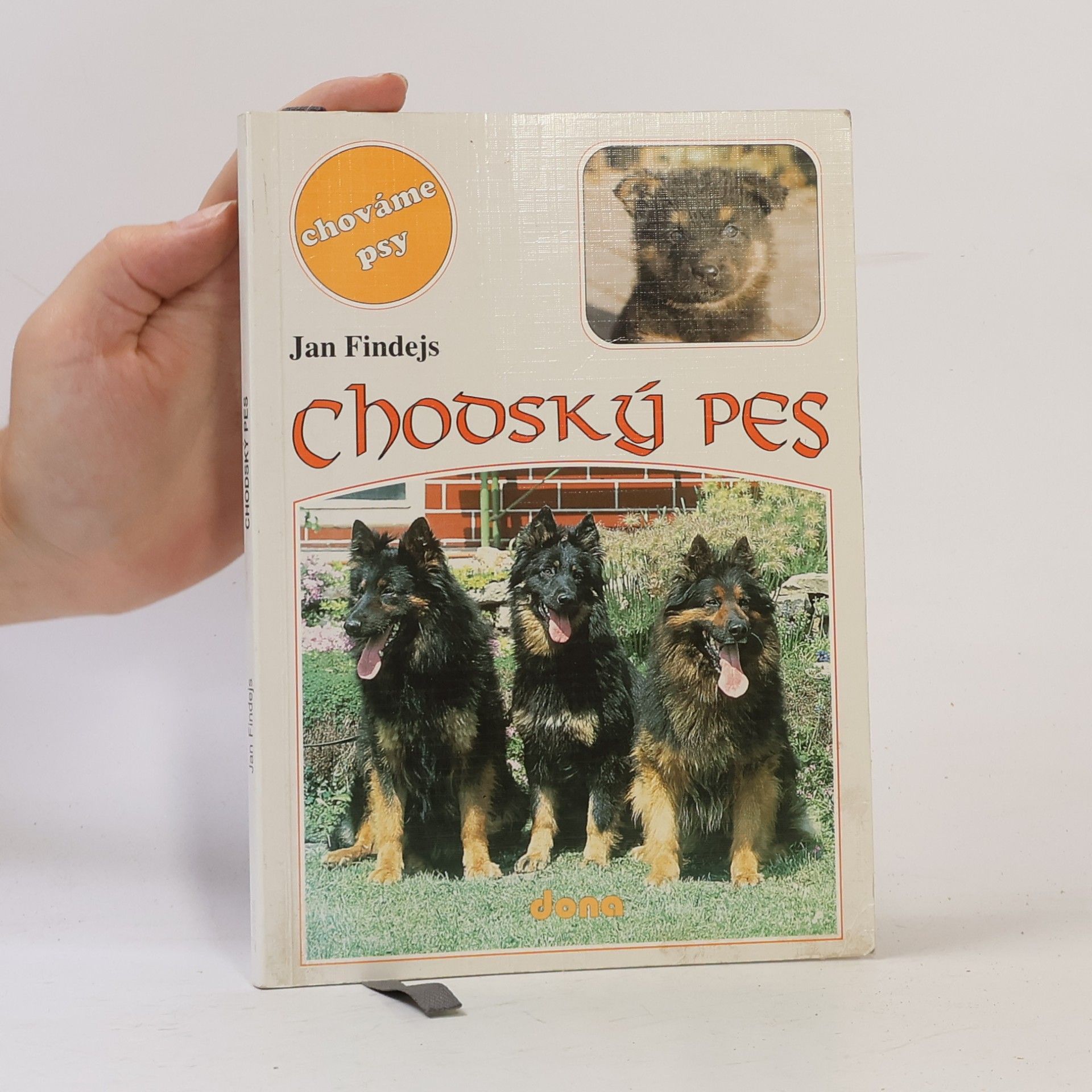 Jan Findejs Chodský pes