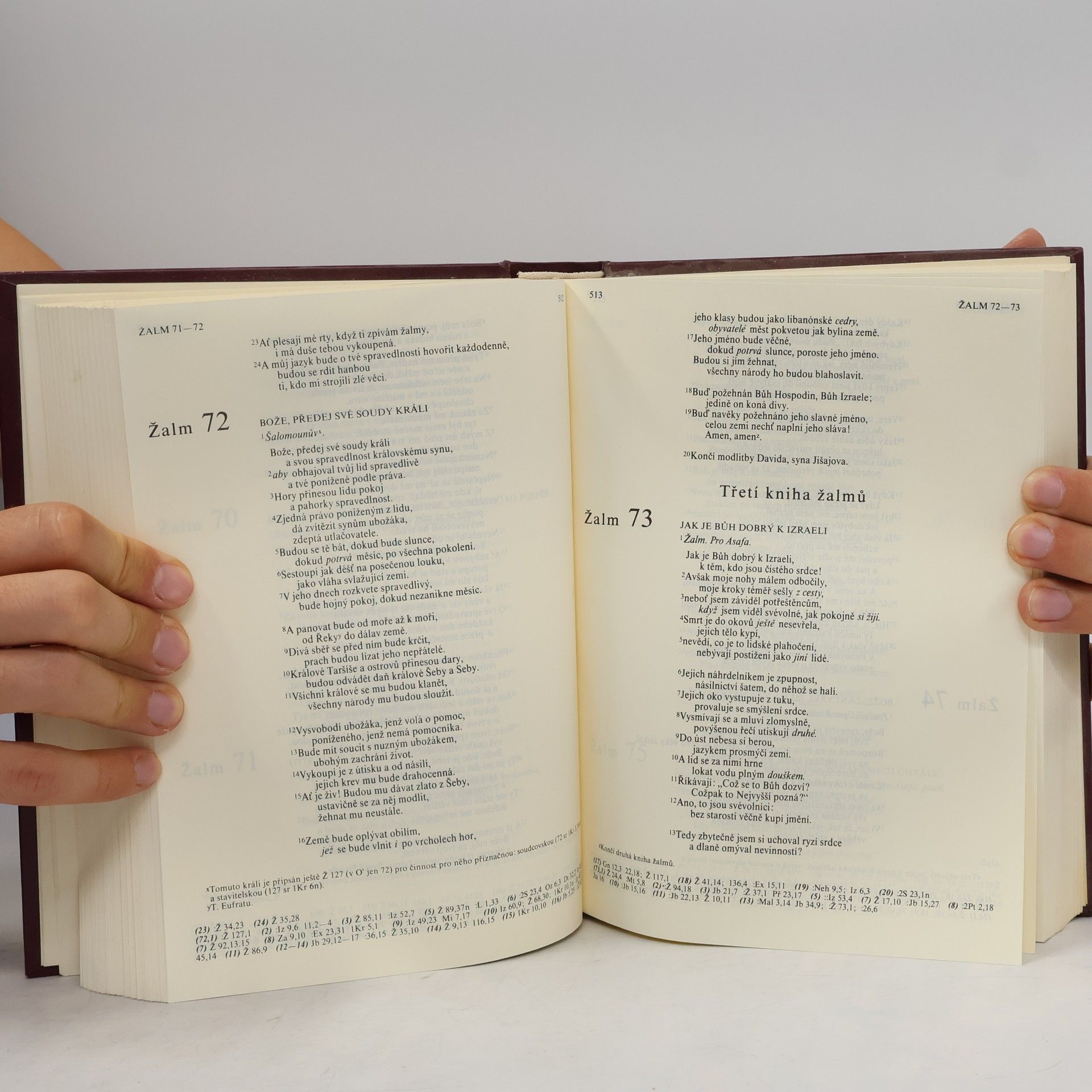 Auteurscollectief Bible