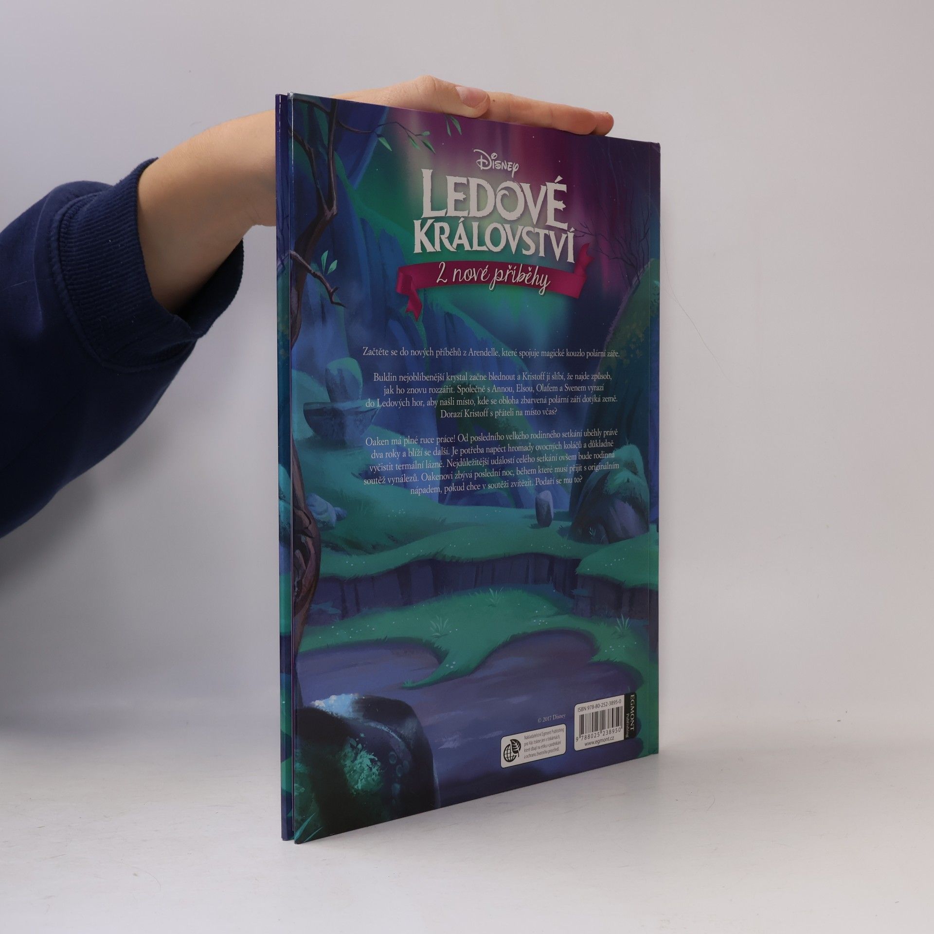Apple Jordan Ledové království. Buldin krystal. Oakenův vynález