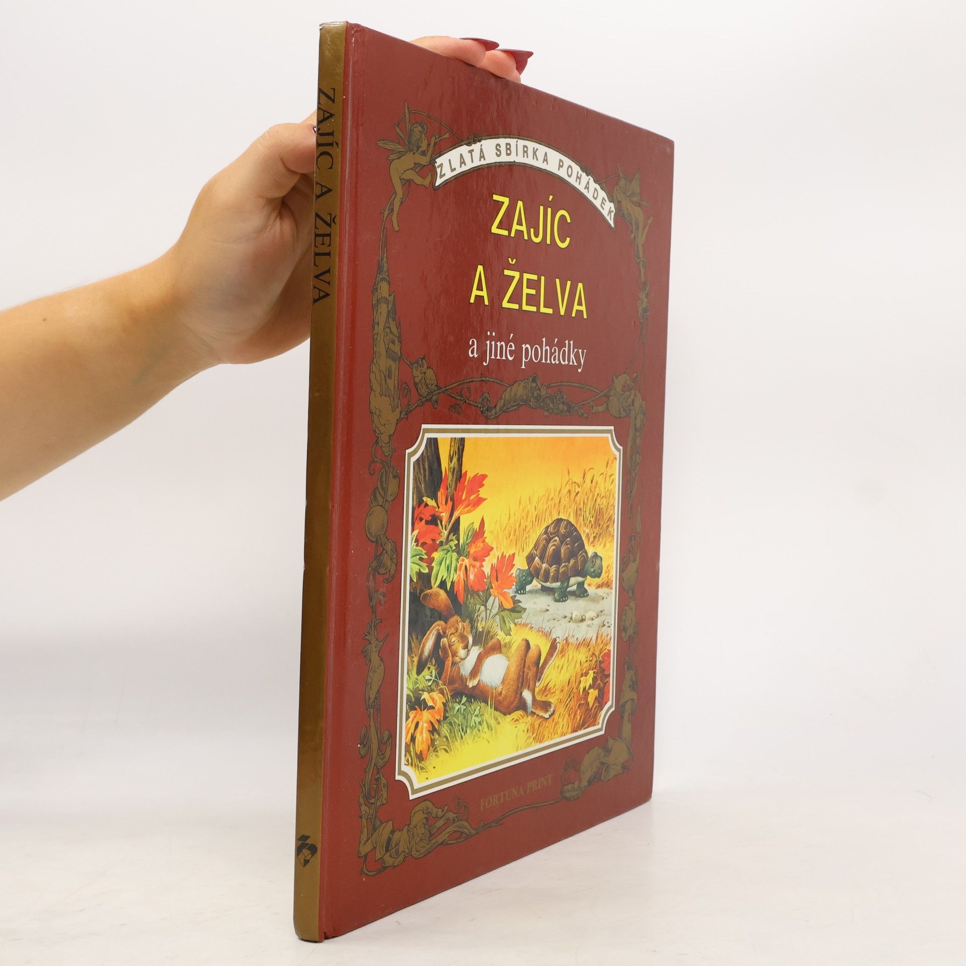 Autorenkollektiv Zajíc a želva a jiné pohádky