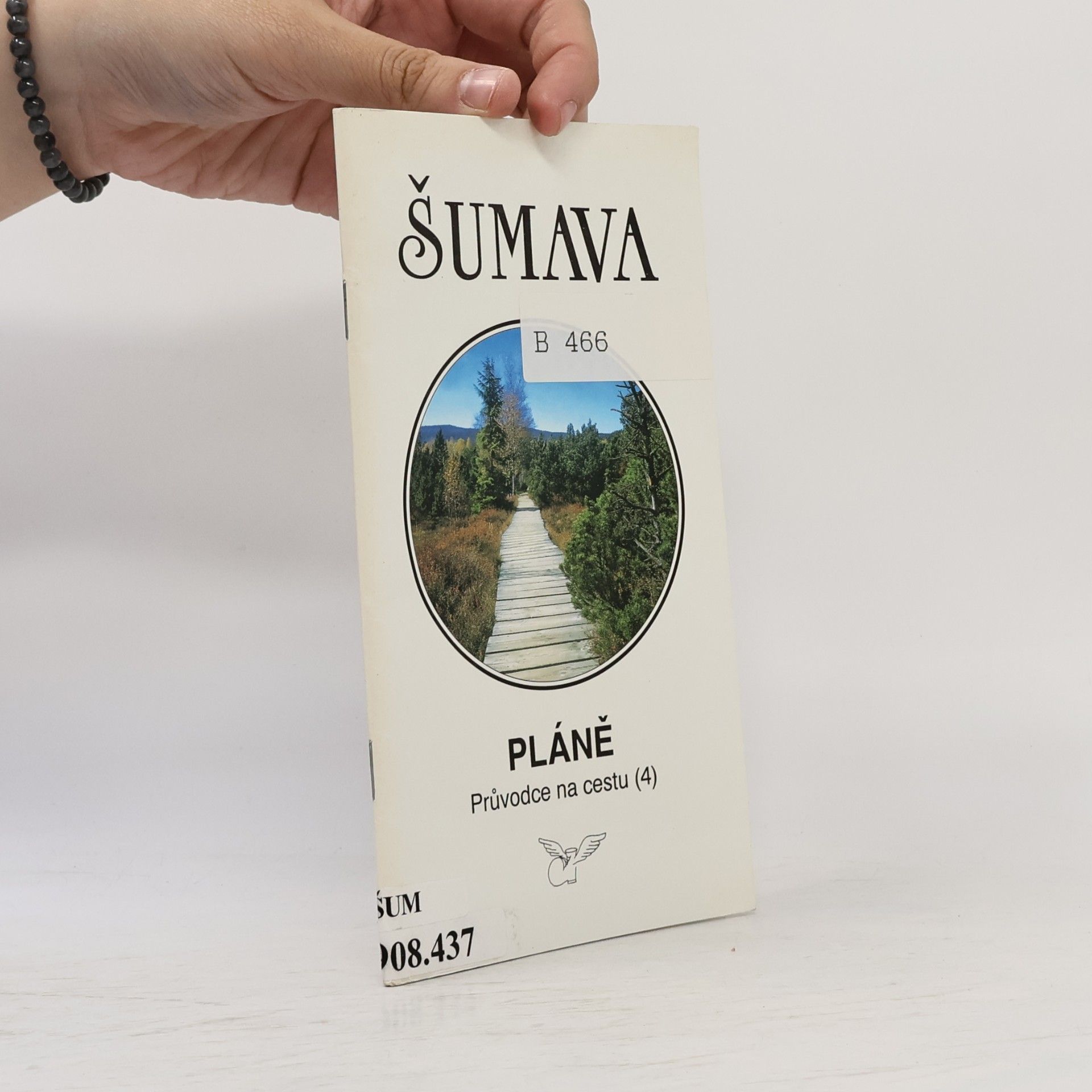 Radovan Rebstöck Šumava 4