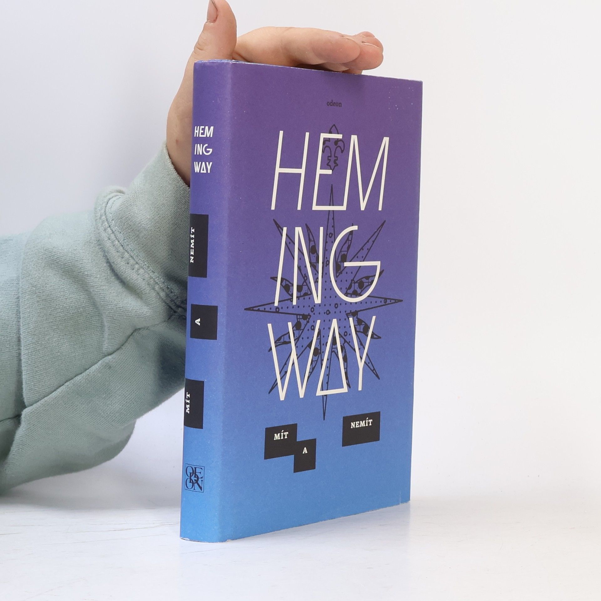Ernest Hemingway Mít a nemít