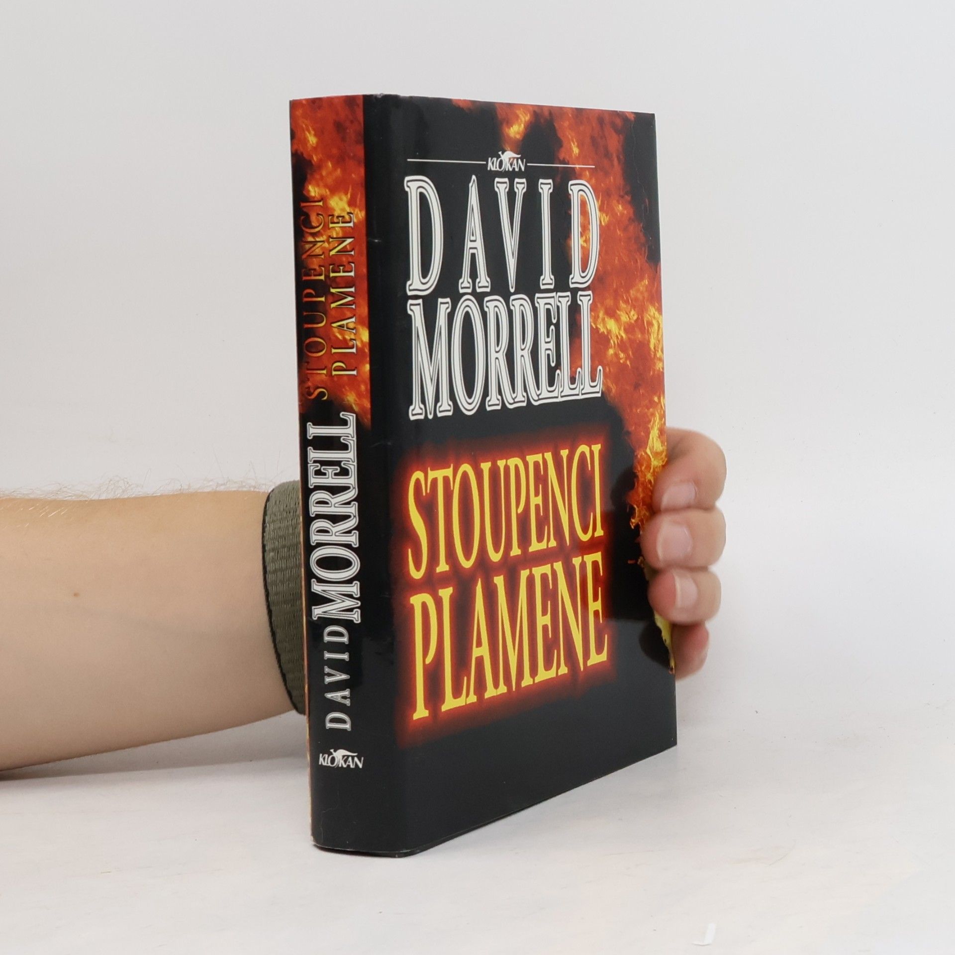 David Morrell Stoupenci plamene