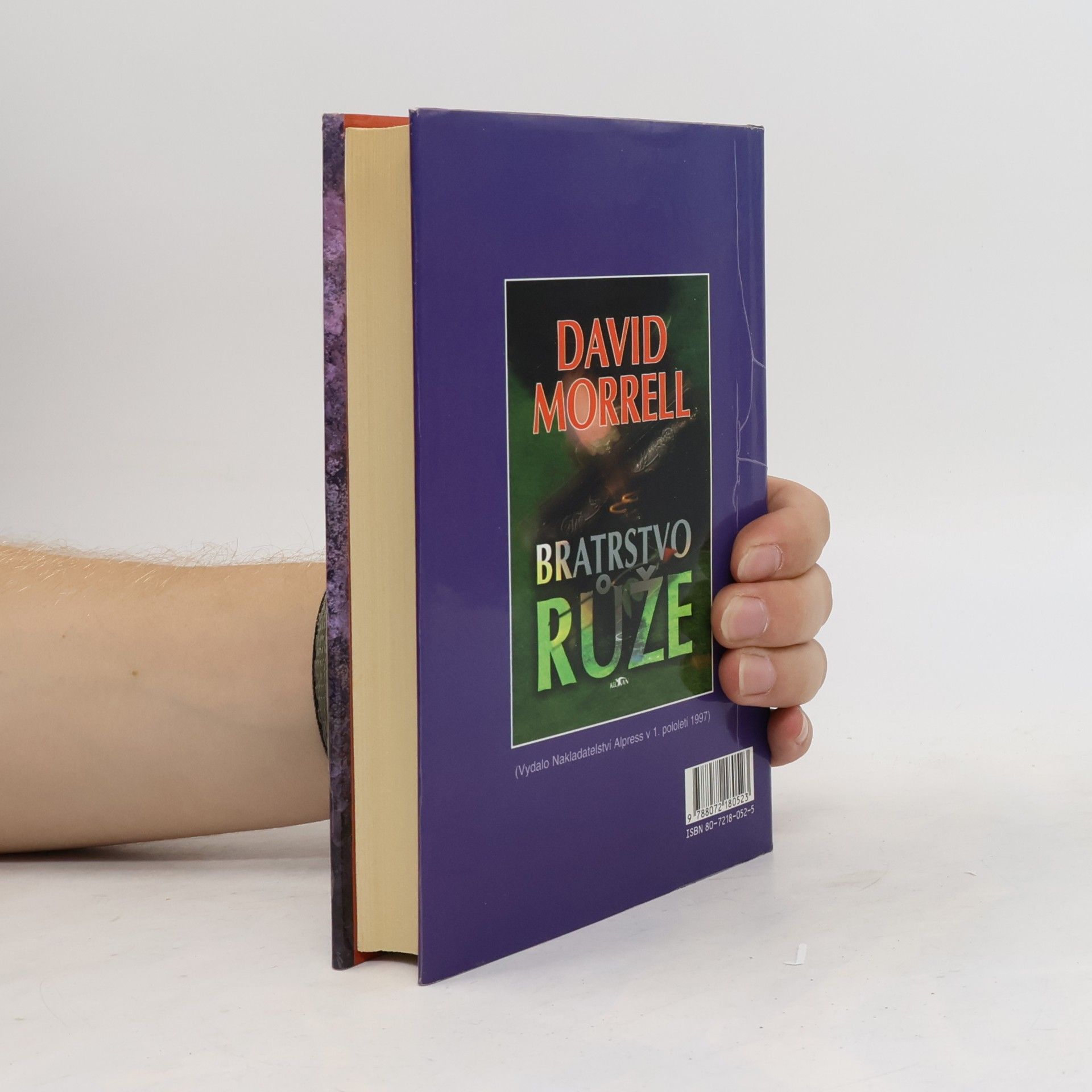 David Morrell Bratrstvo kamene