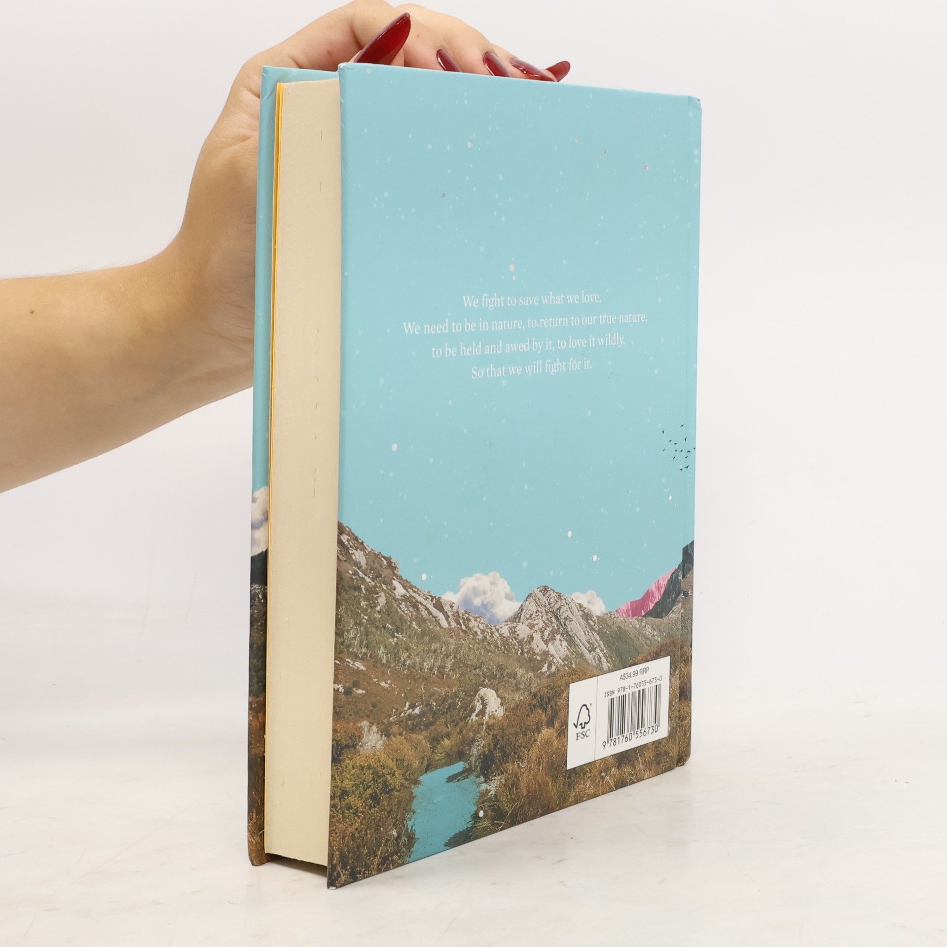 Sarah Wilson This One Wild and Precious Life