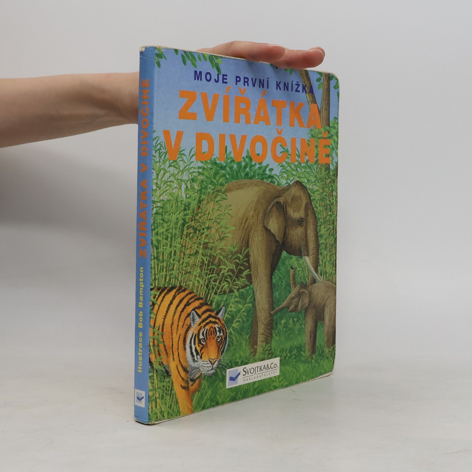 Autorenkollektiv Zvířátka v divočině