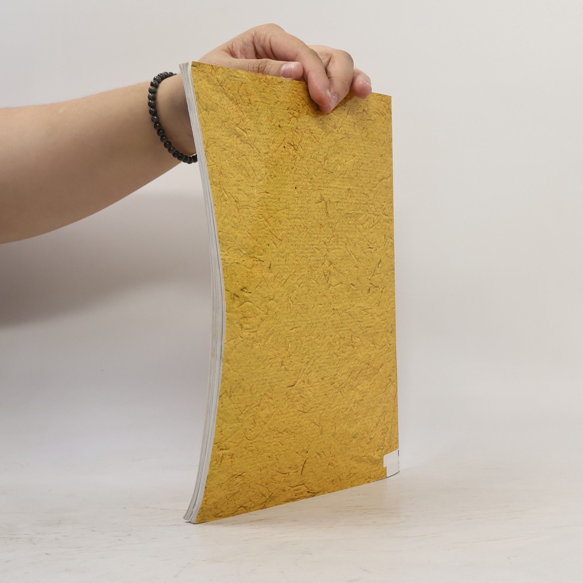Alena Uhříčková Kouzlo zapomenutého. Práce s přírodními materiály
