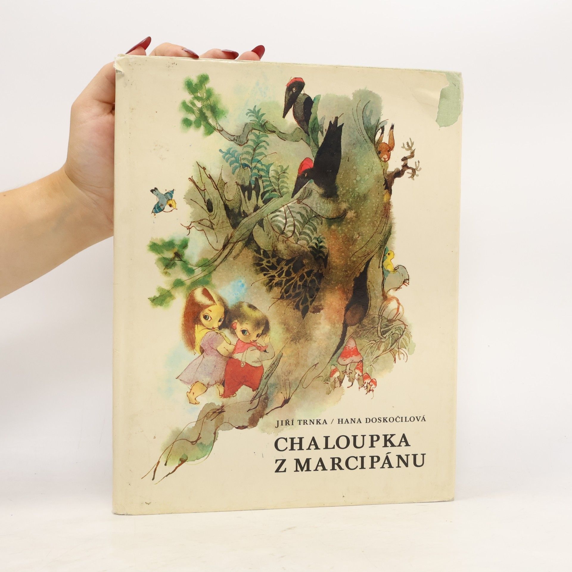 Jiří Trnka Chaloupka z marcipánu