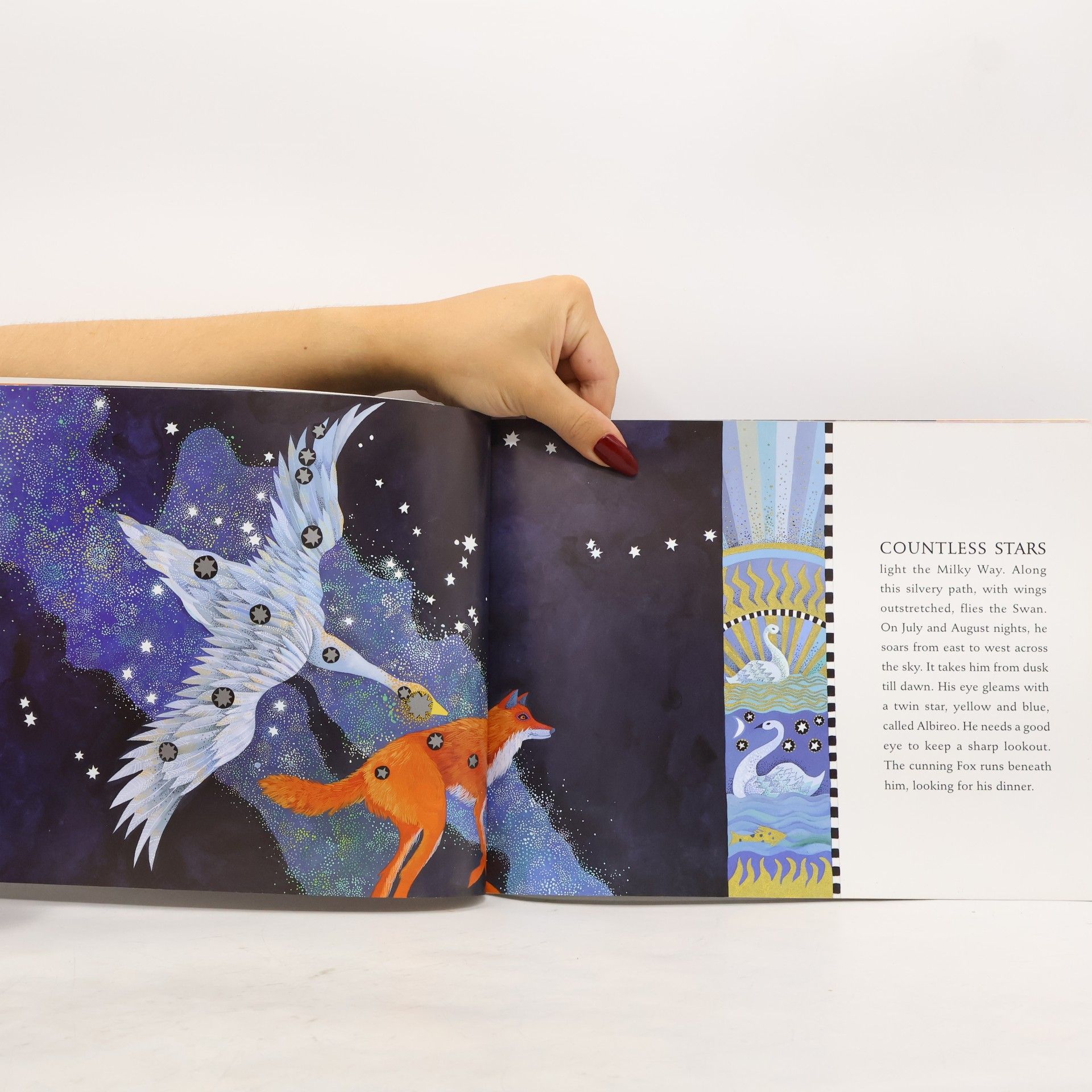 Jacqueline Mitton Zoo in the Sky