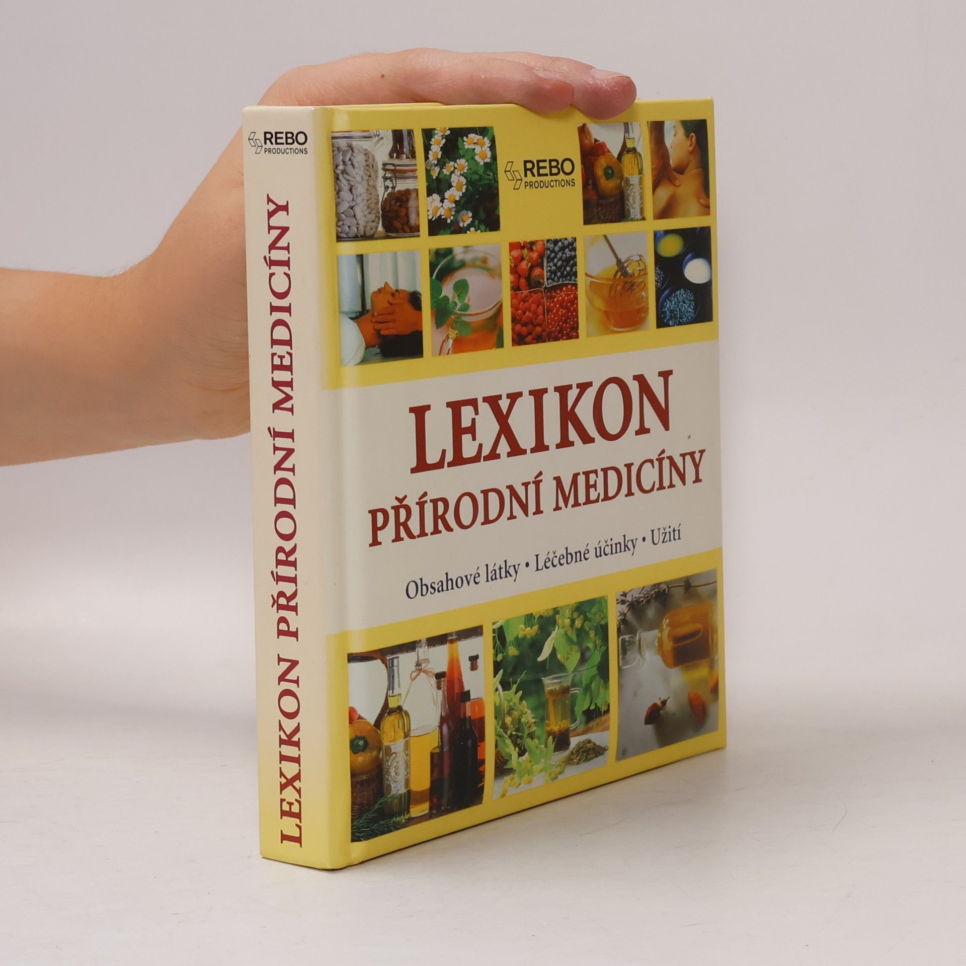 Anne Iburg Lexikon přírodní medicíny