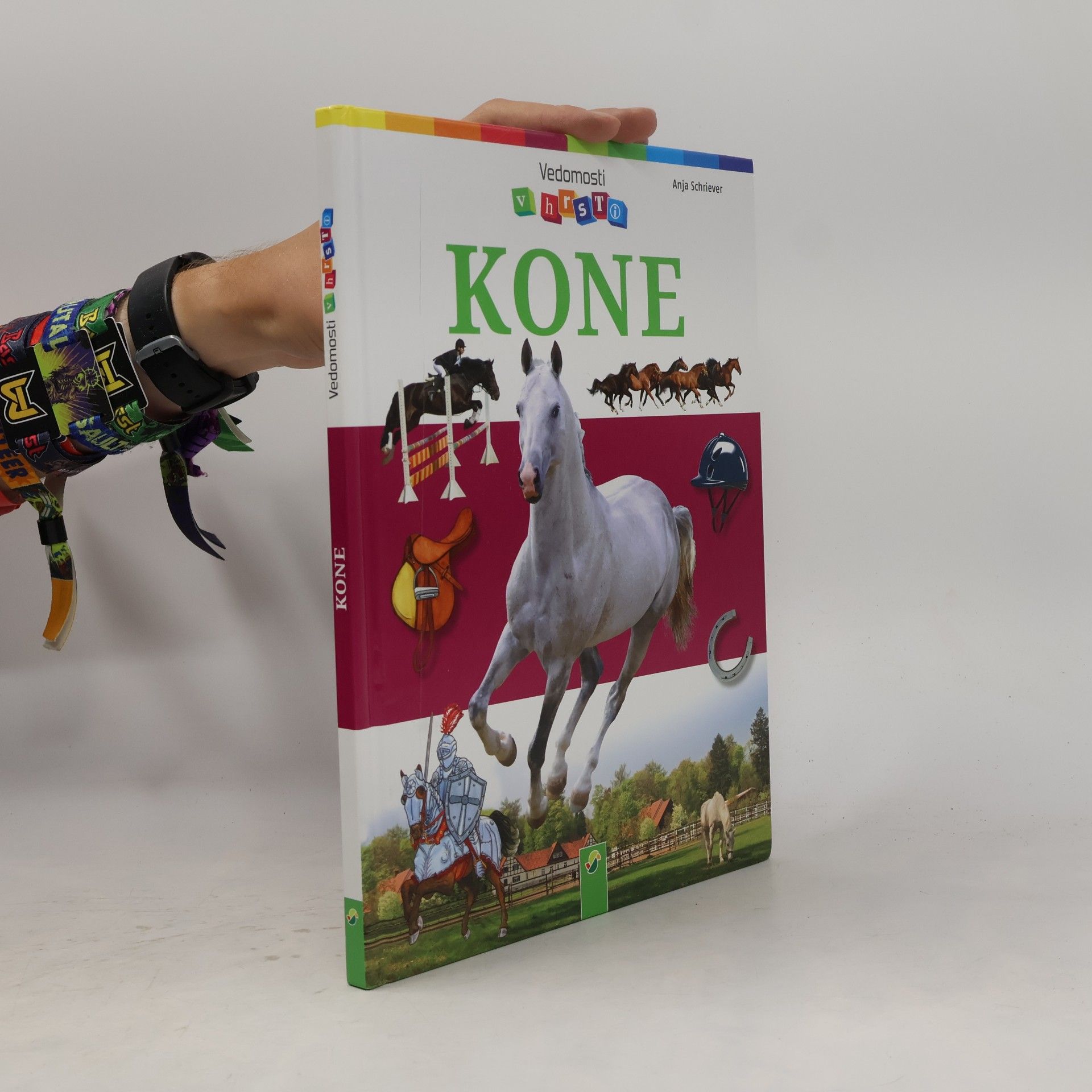 Anja Schriever Kone