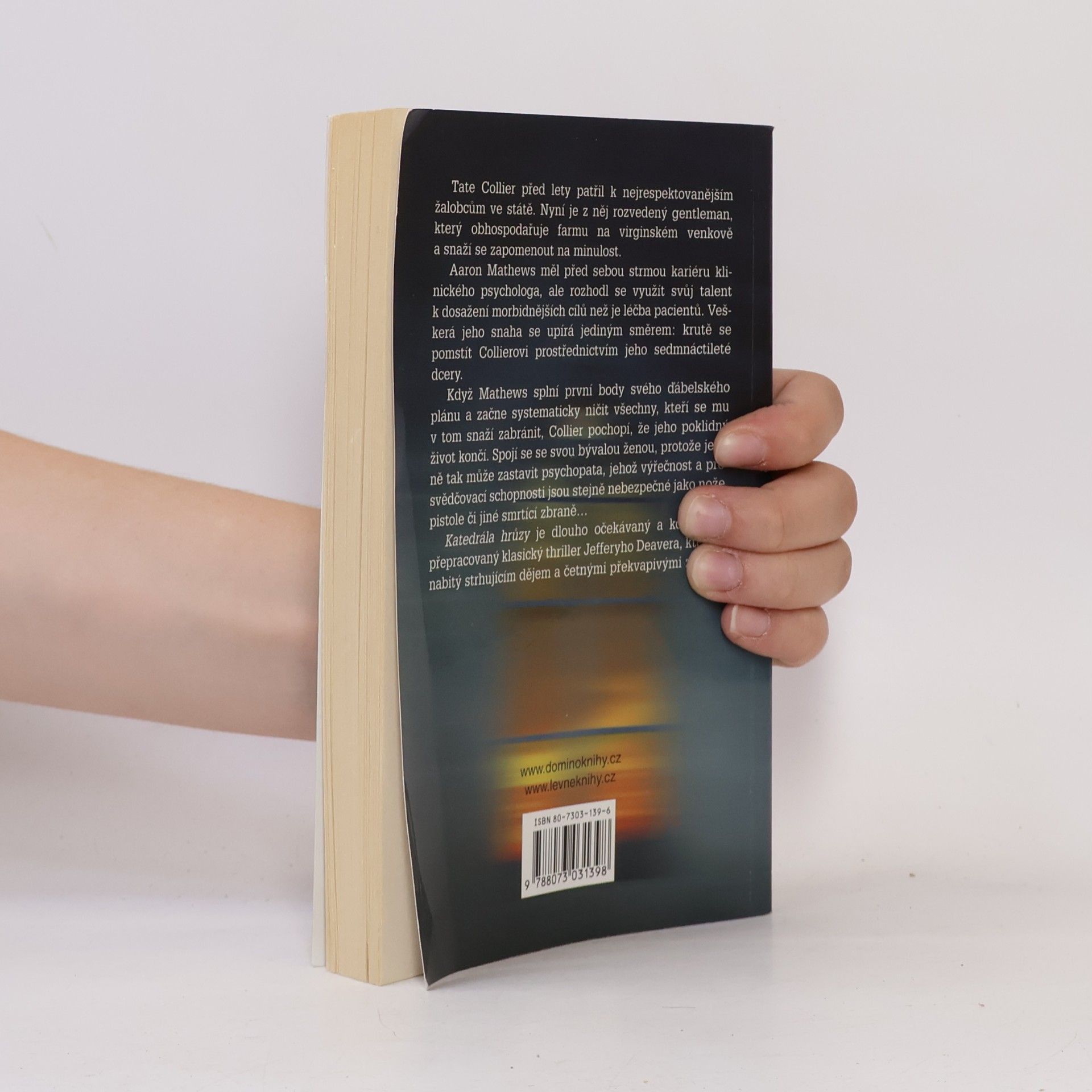 Jeffery Deaver Katedrála hrůzy