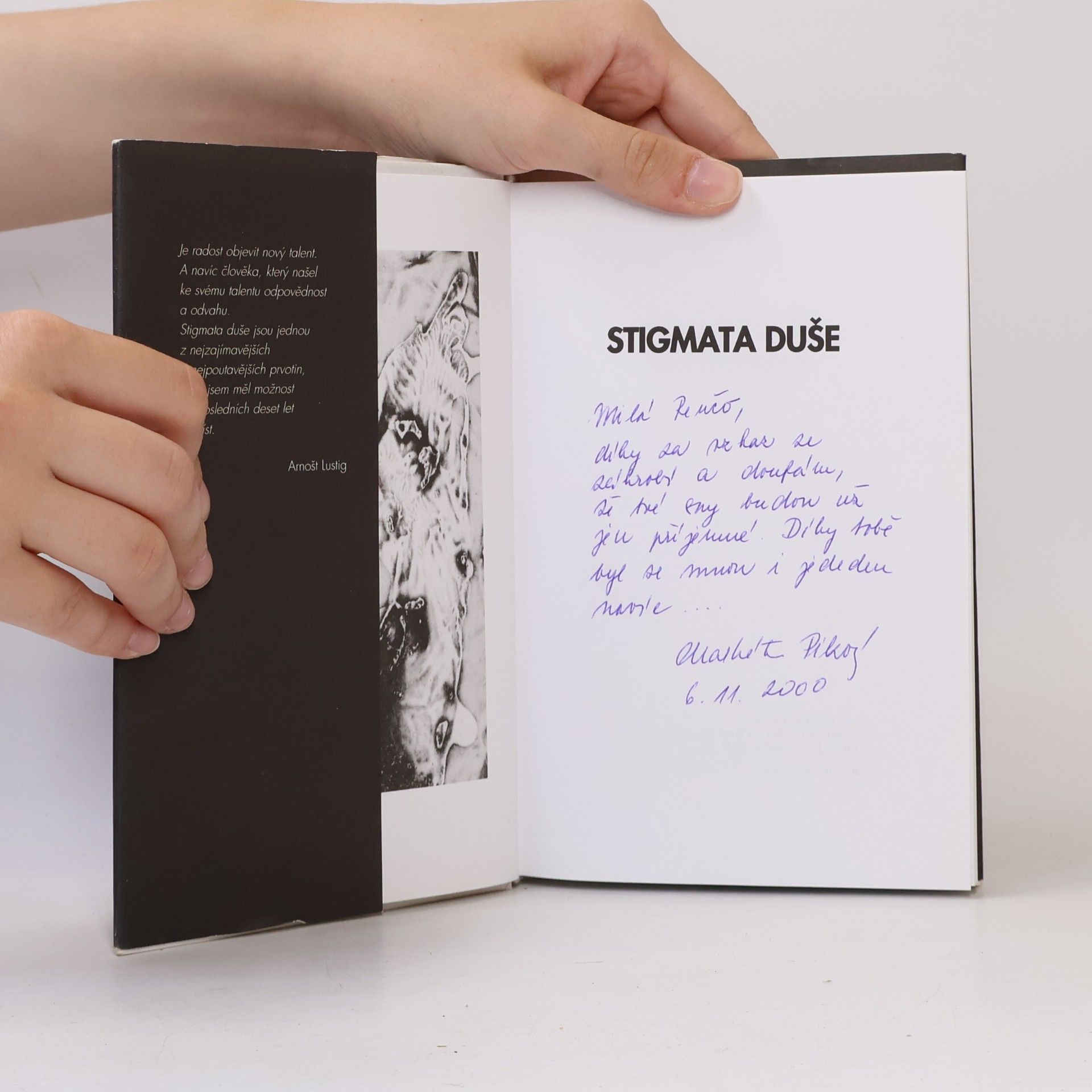 Markéta Pilzová Stigmata duše. Reinkarnační román