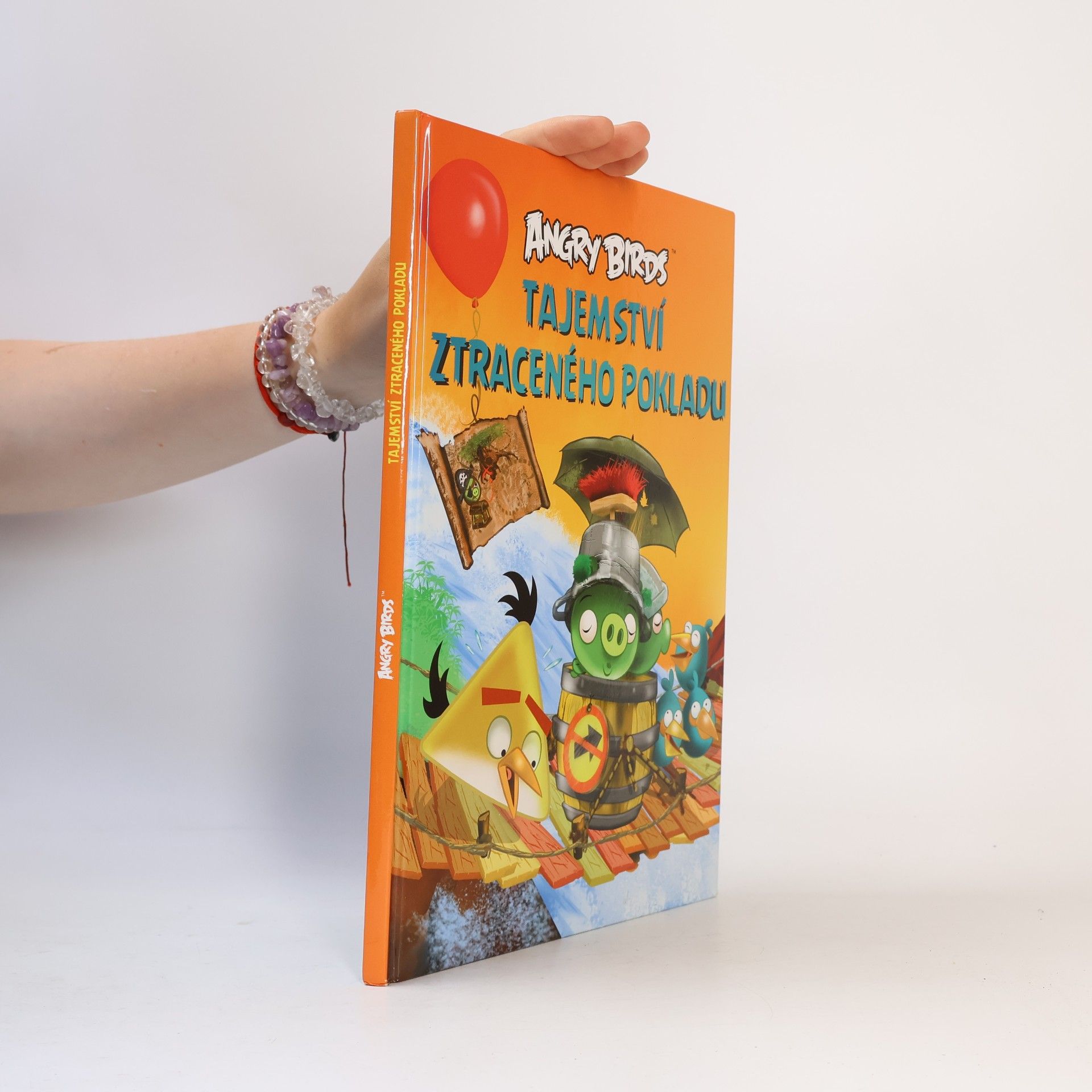 Jari Rasi Angry Birds. Tajemství ztraceného pokladu