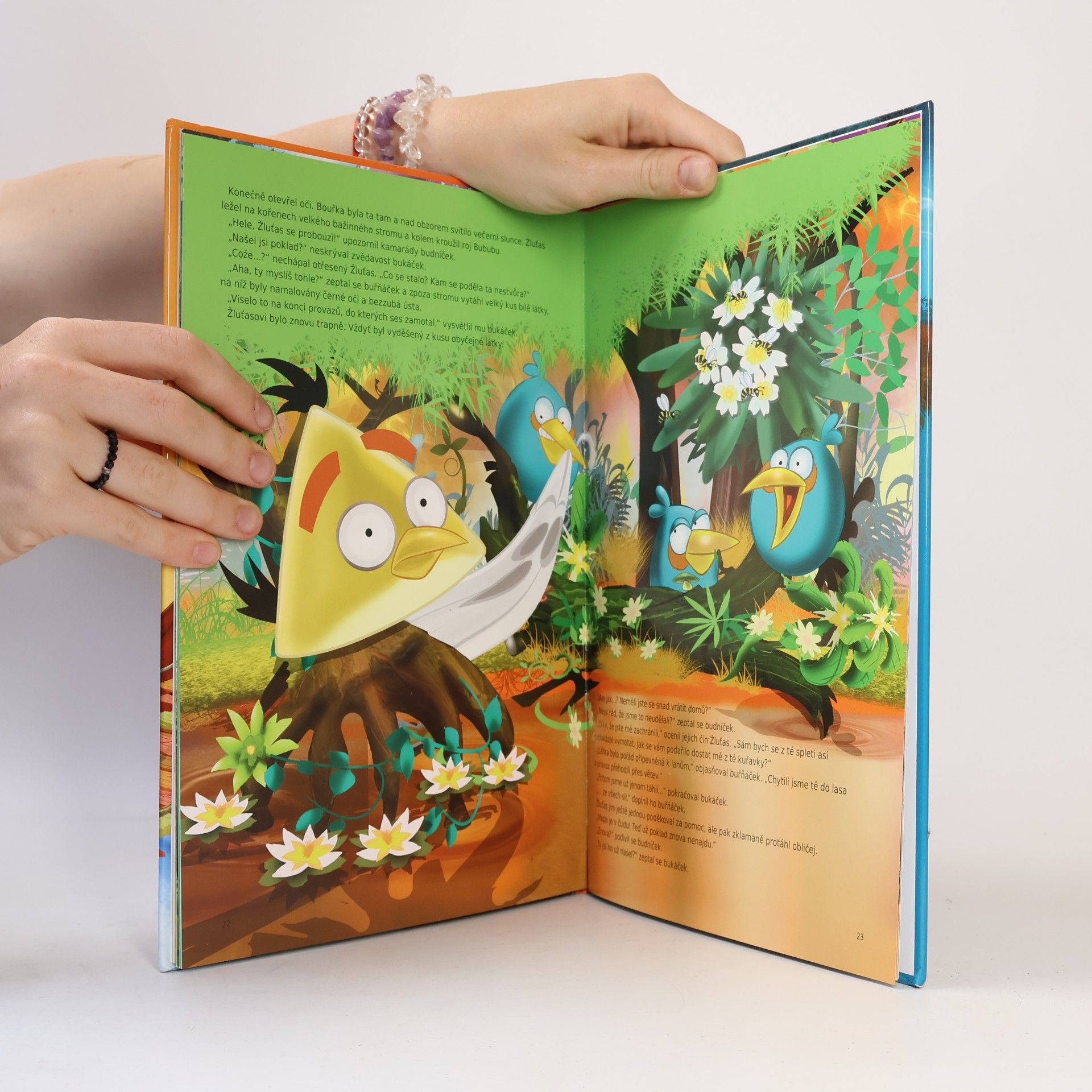 Tapani Bagge Angry Birds. Tajemství ztraceného pokladu