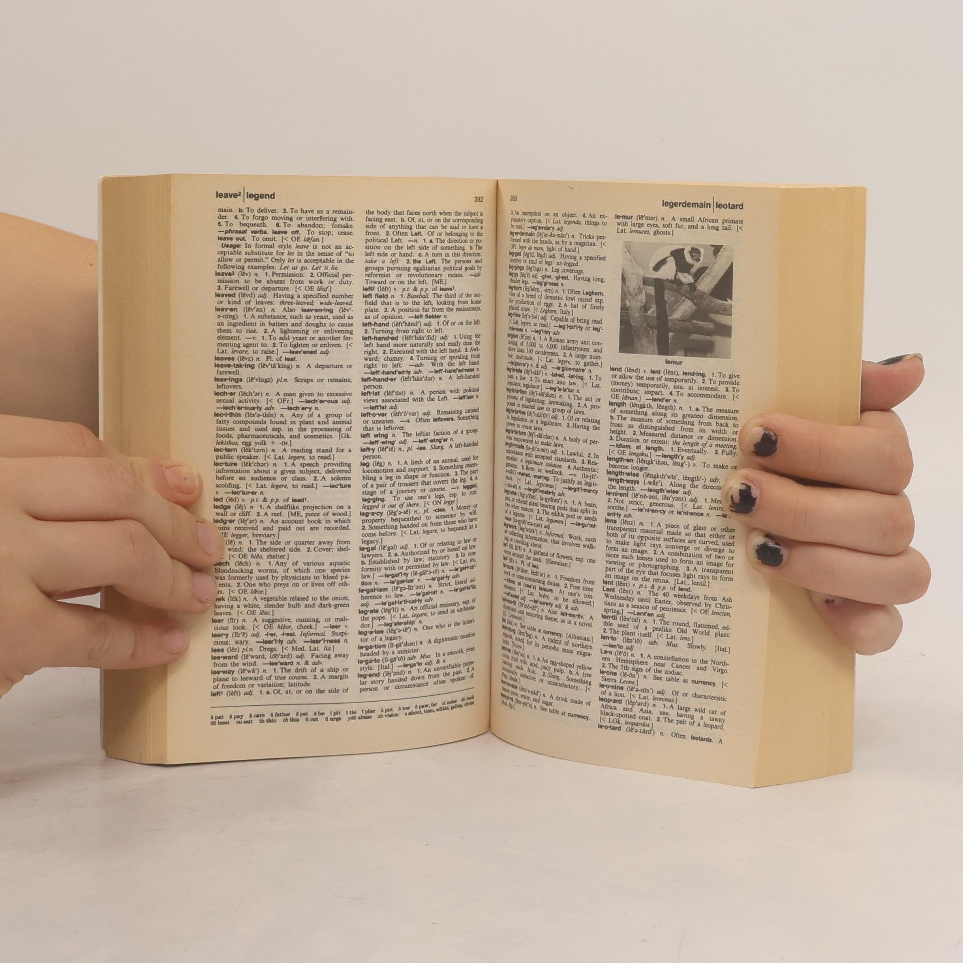 Kolektív autorov The American heritage dictionary : based on the new second college edition