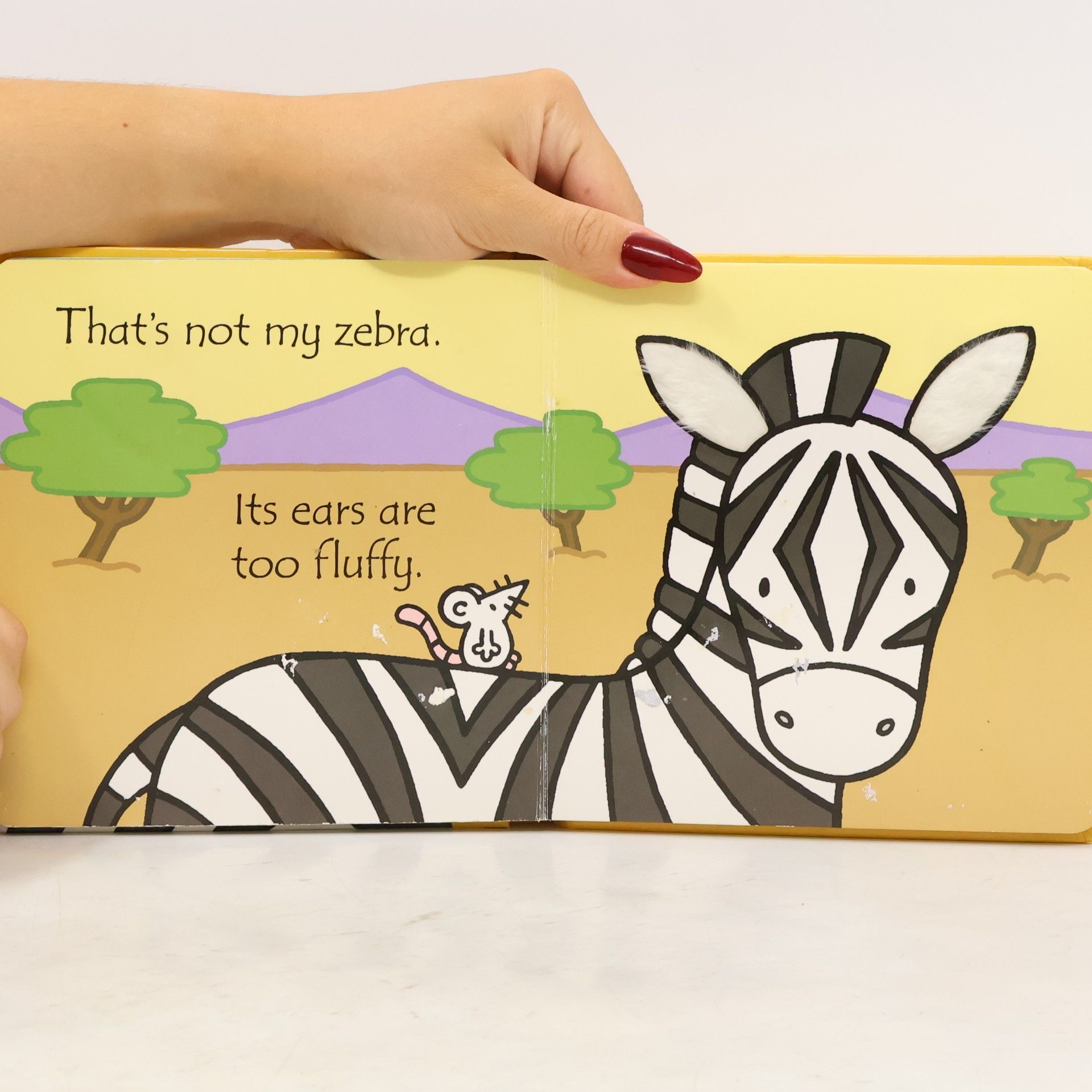 Fiona Watt That's Not My Zebra
