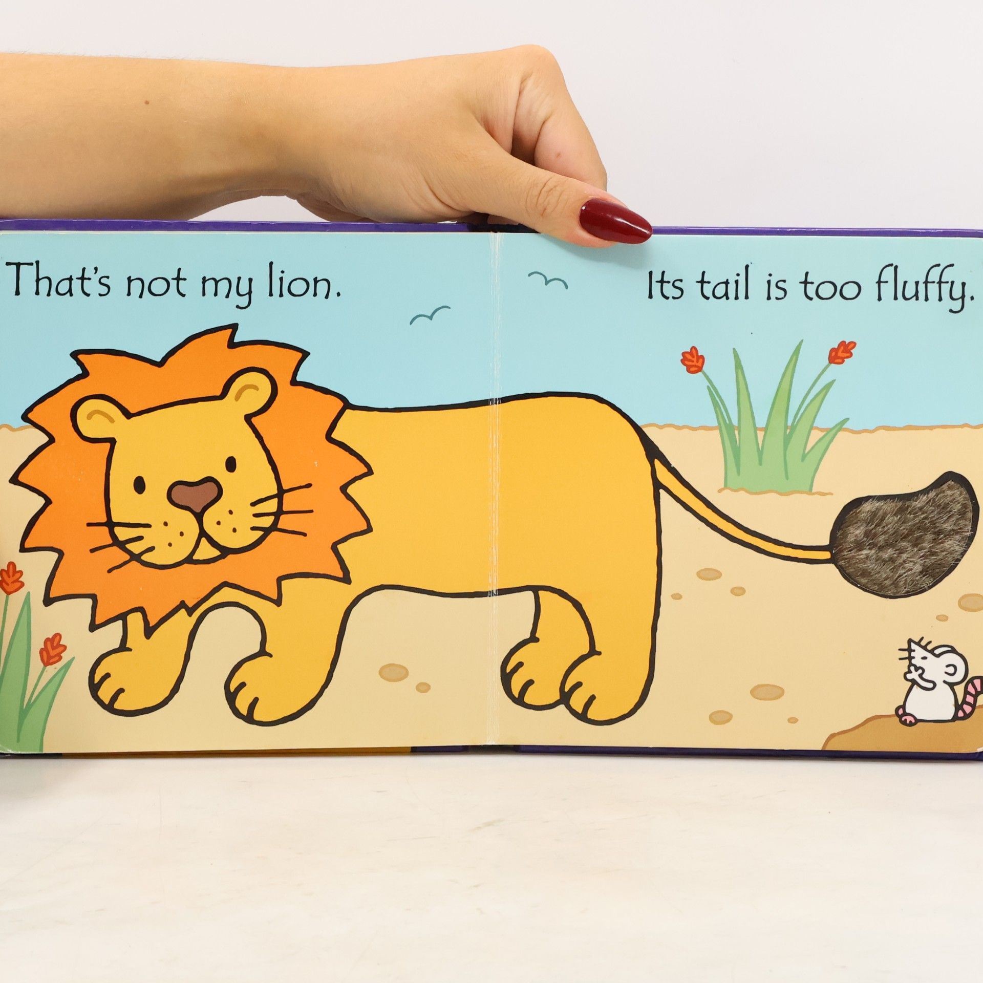 Rachel Wells That's Not My Lion