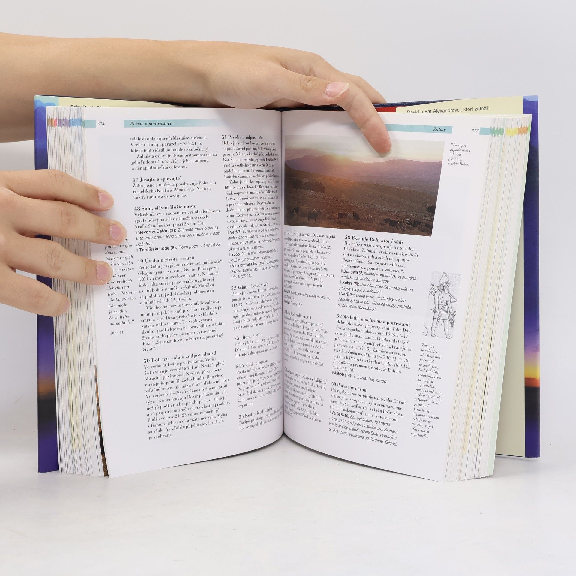 David Alexander Ilustrovaná príručka k Biblii