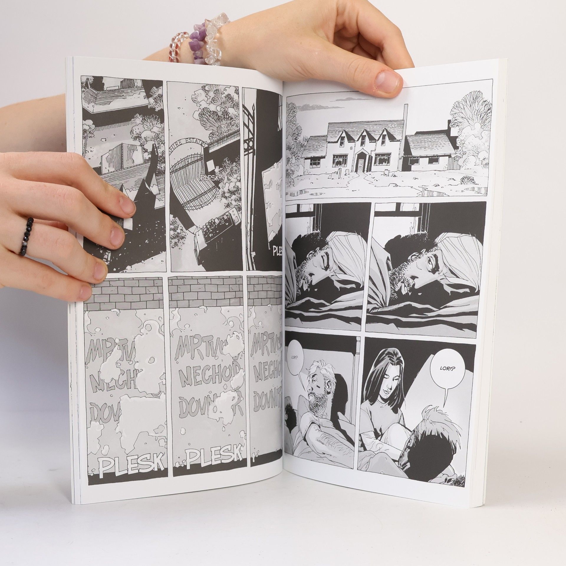 Robert Kirkman Živí mrtví. Díl druhý, Míle a míle