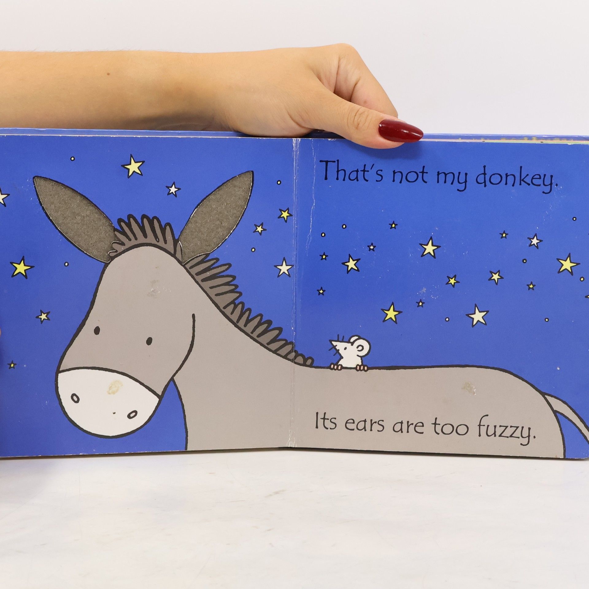 Fiona Watt That's Not My Donkey
