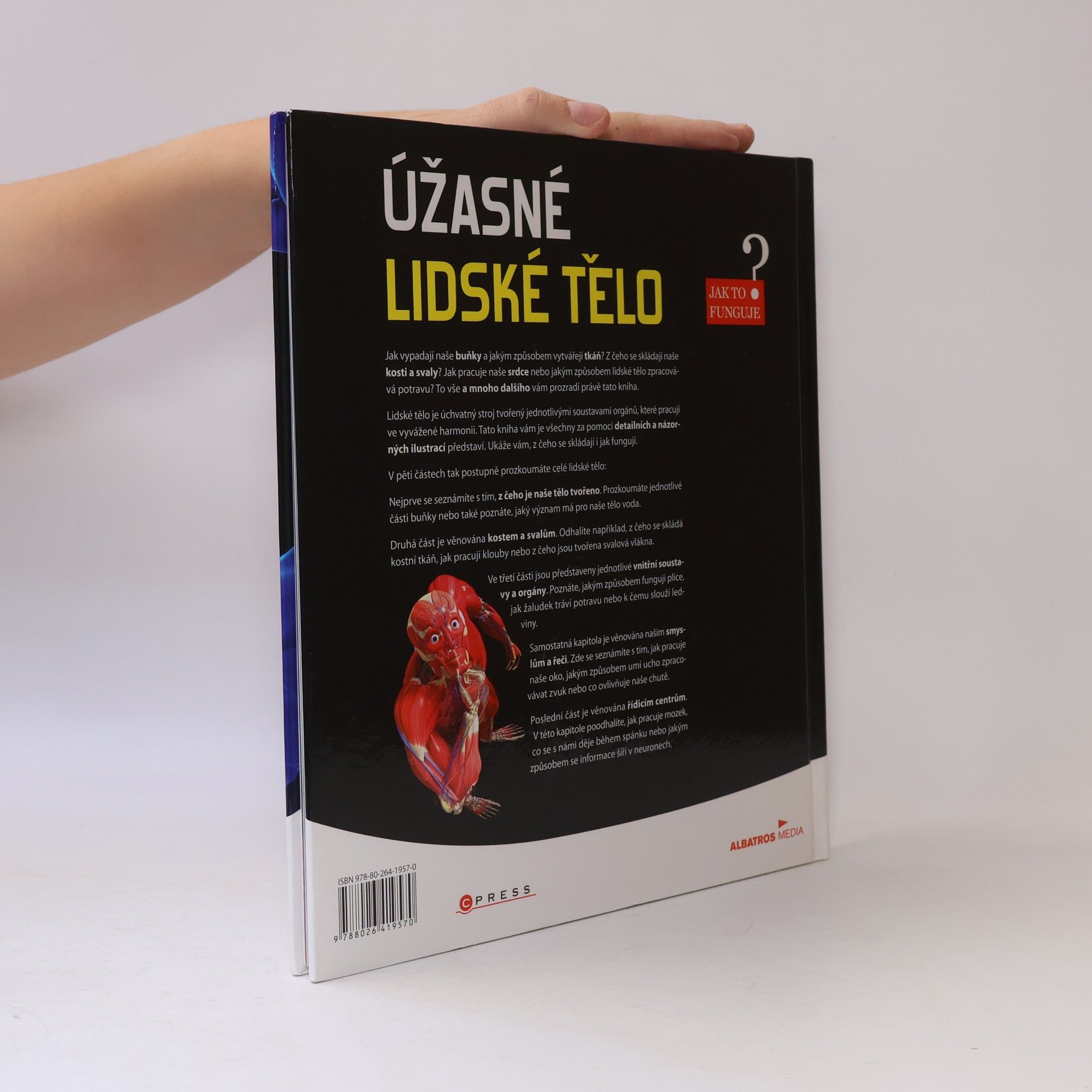 Autorenkollektiv Úžasné lidské tělo - Jak to funguje?