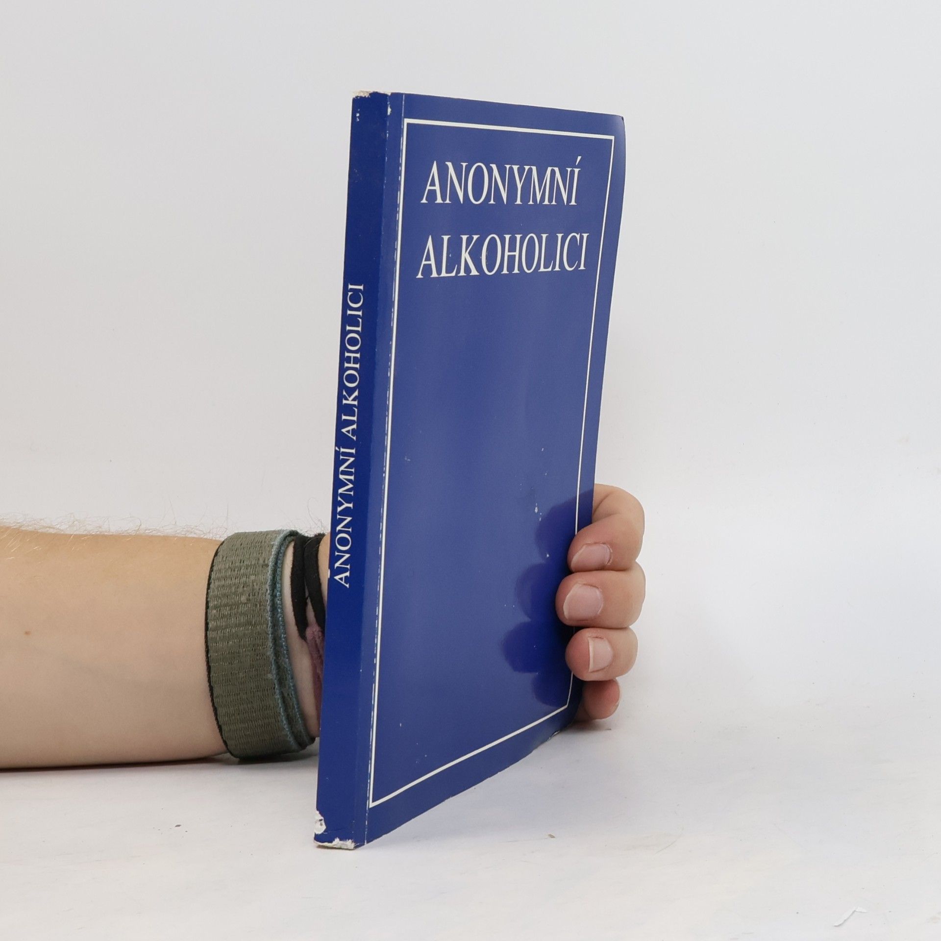 Kolektív autorov Anonymní alkoholici