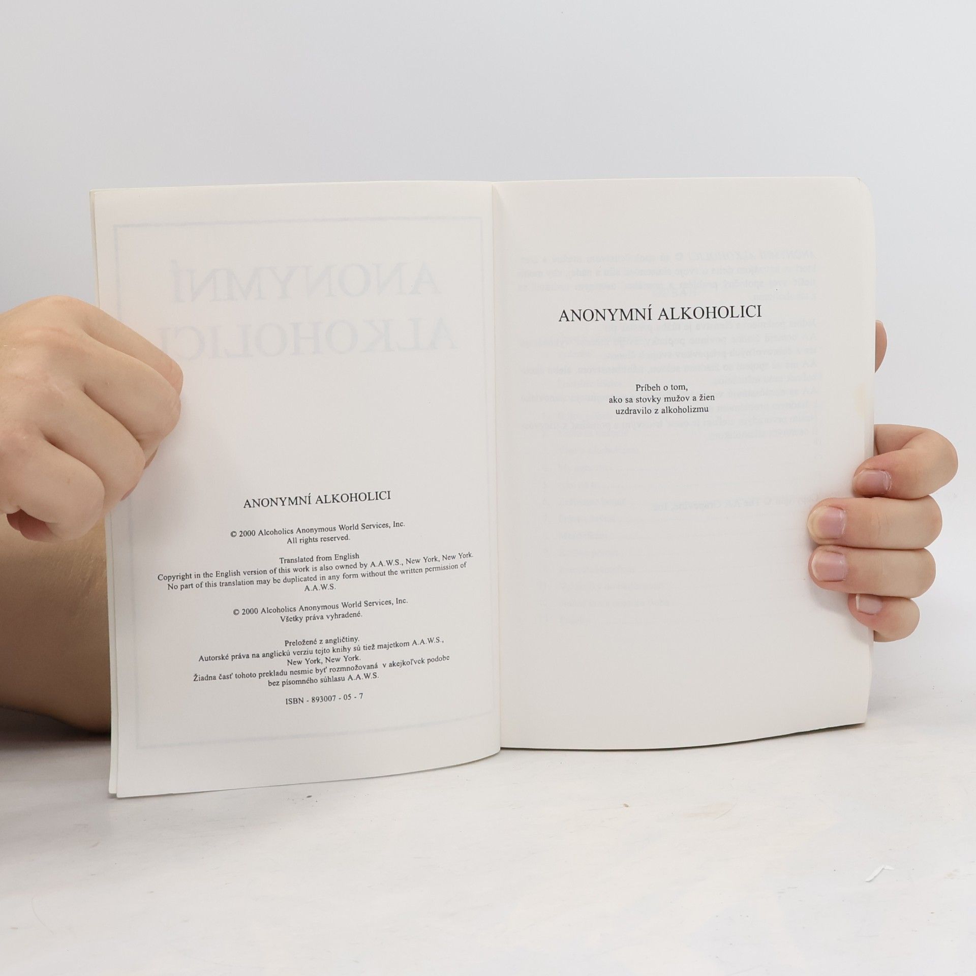 Autores varios Anonymní alkoholici