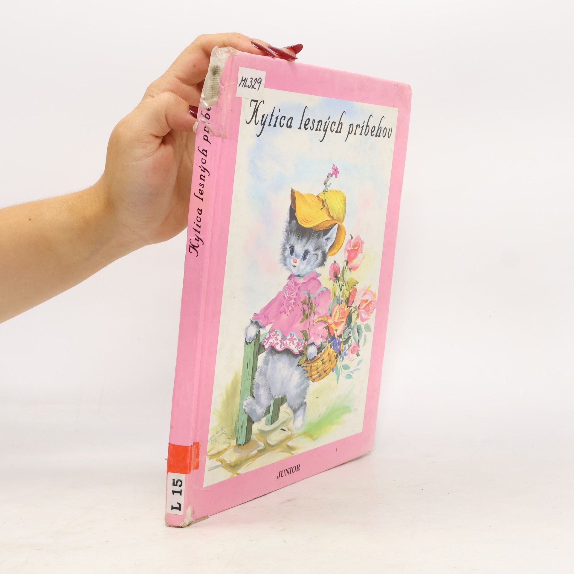 Autorenkollektiv Kytica lesných príbehov