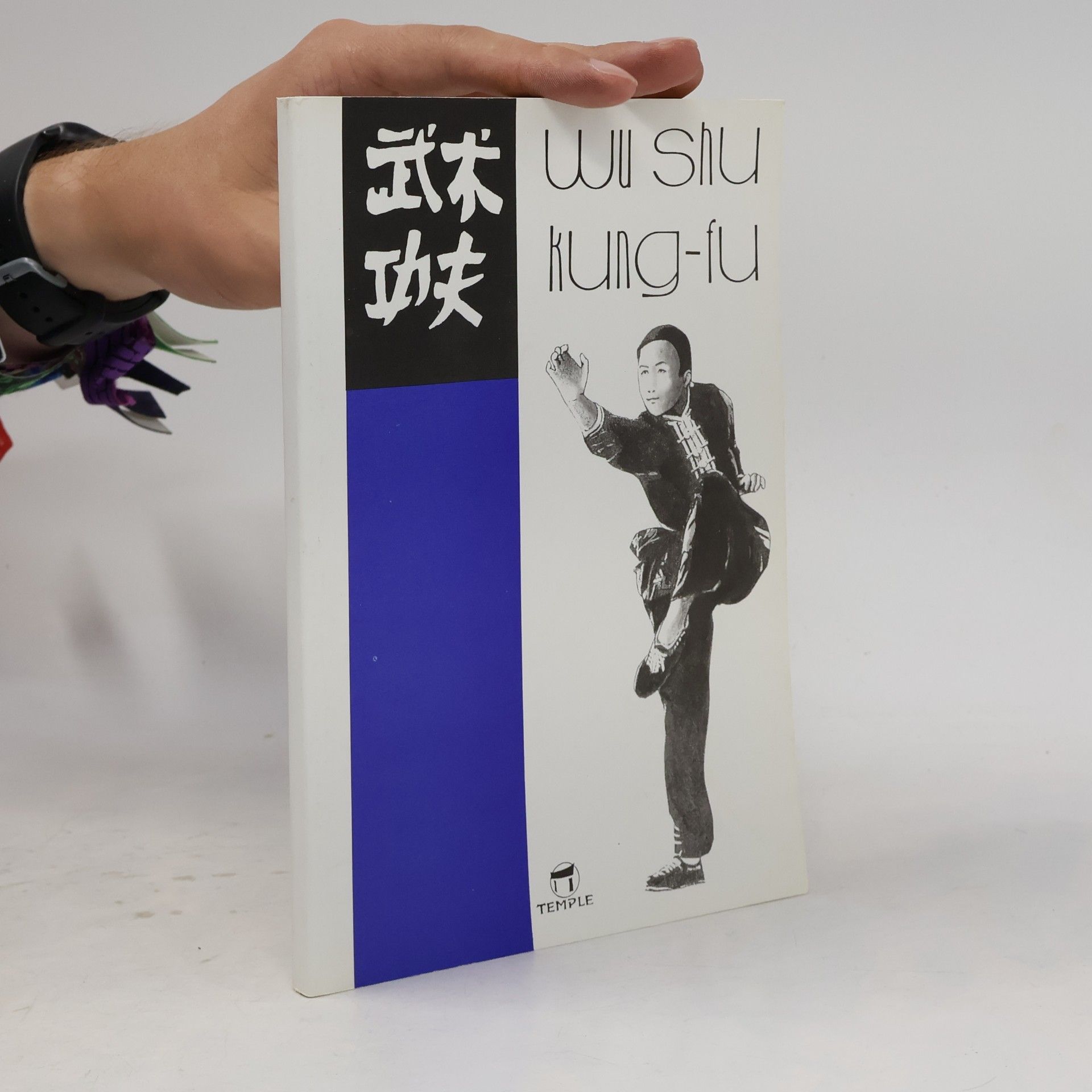 Pavel Brabec Wu shu. Kung-fu