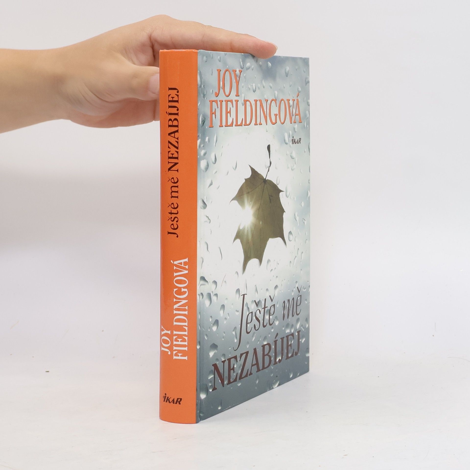 Joy Fielding Ještě mě nezabíjej