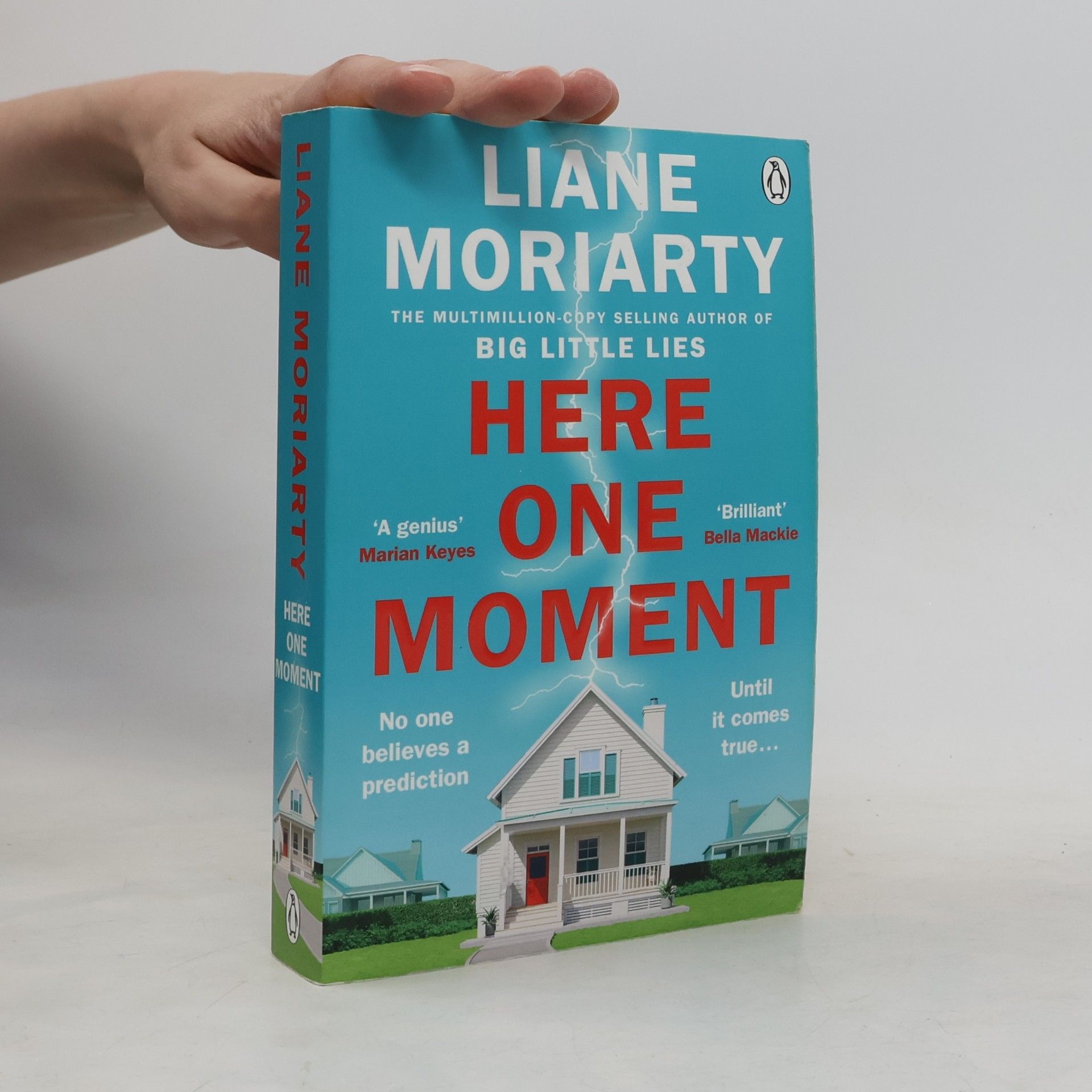 Liane Moriarty Here One Moment