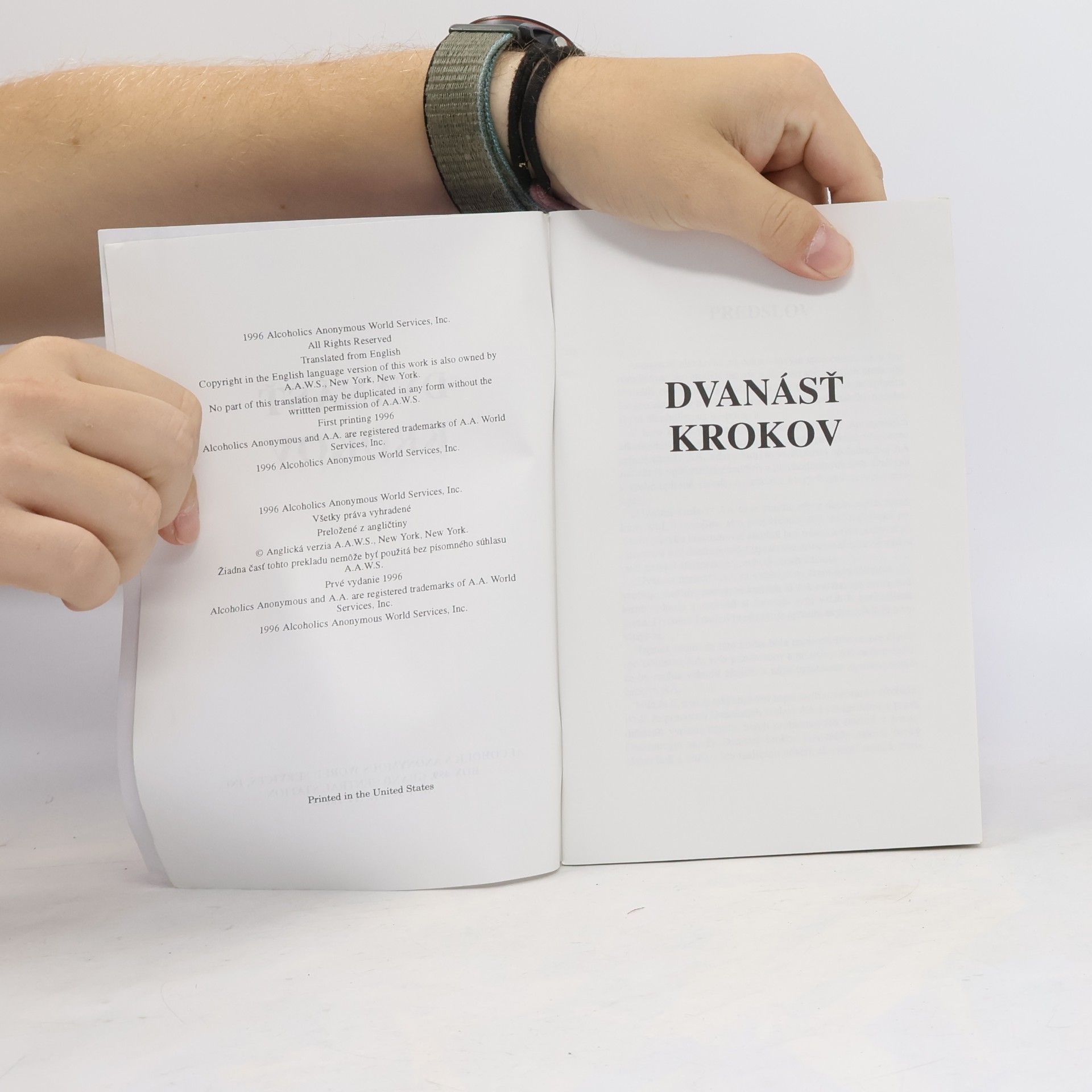 Kolektiv autorů Dvanásť krokov
