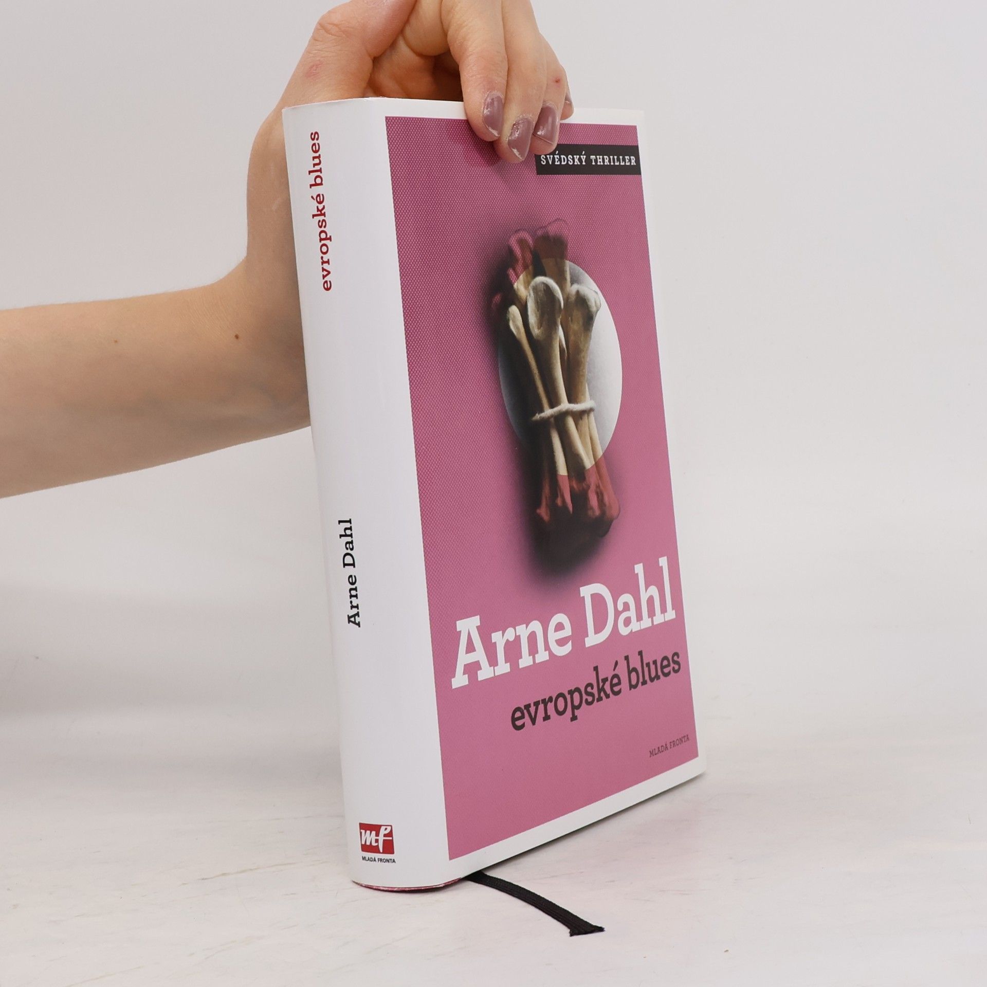 Arne Dahl Evropské blues