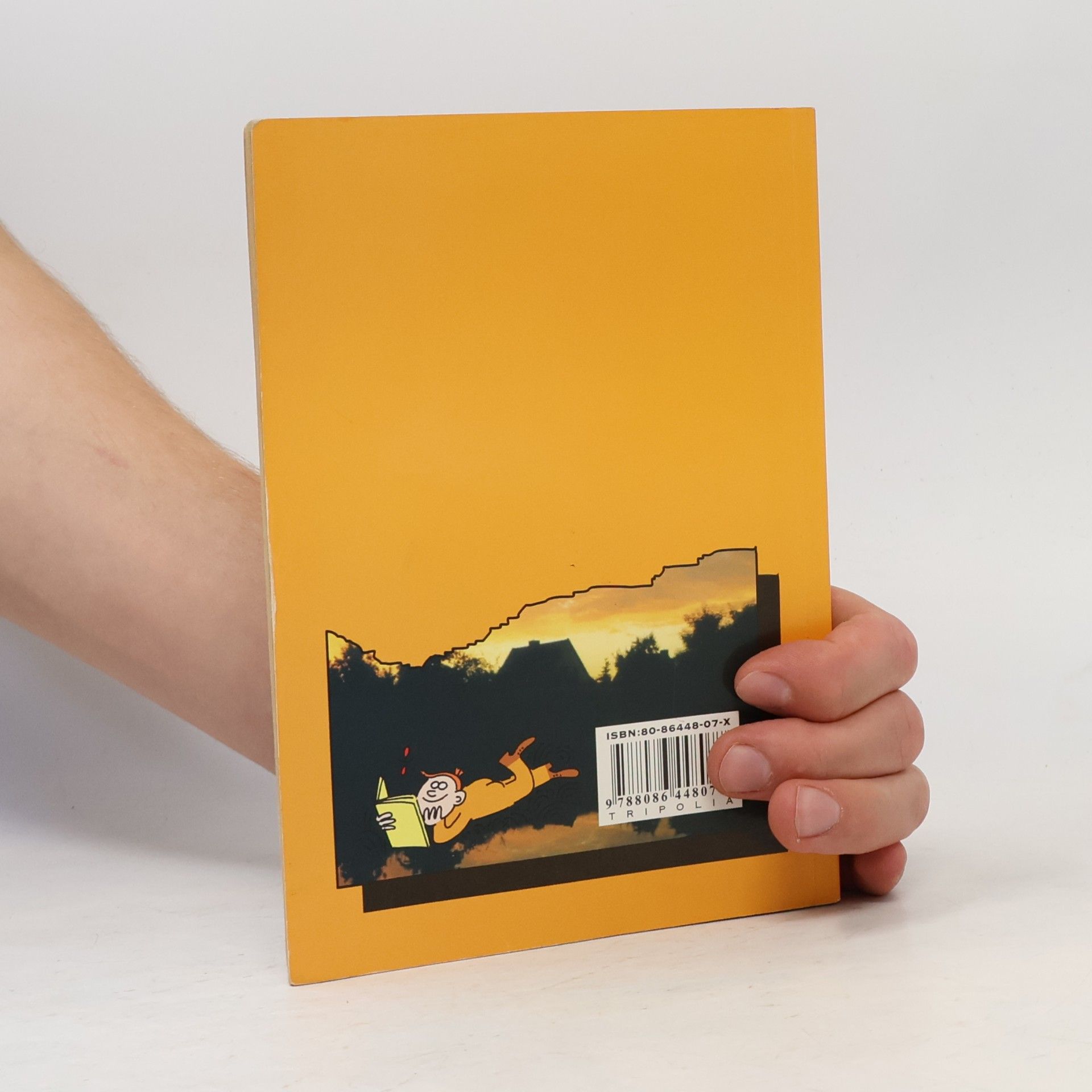 Věra Martinková Literatura 3 : [dějiny literatury pro 3. ročník středních škol]