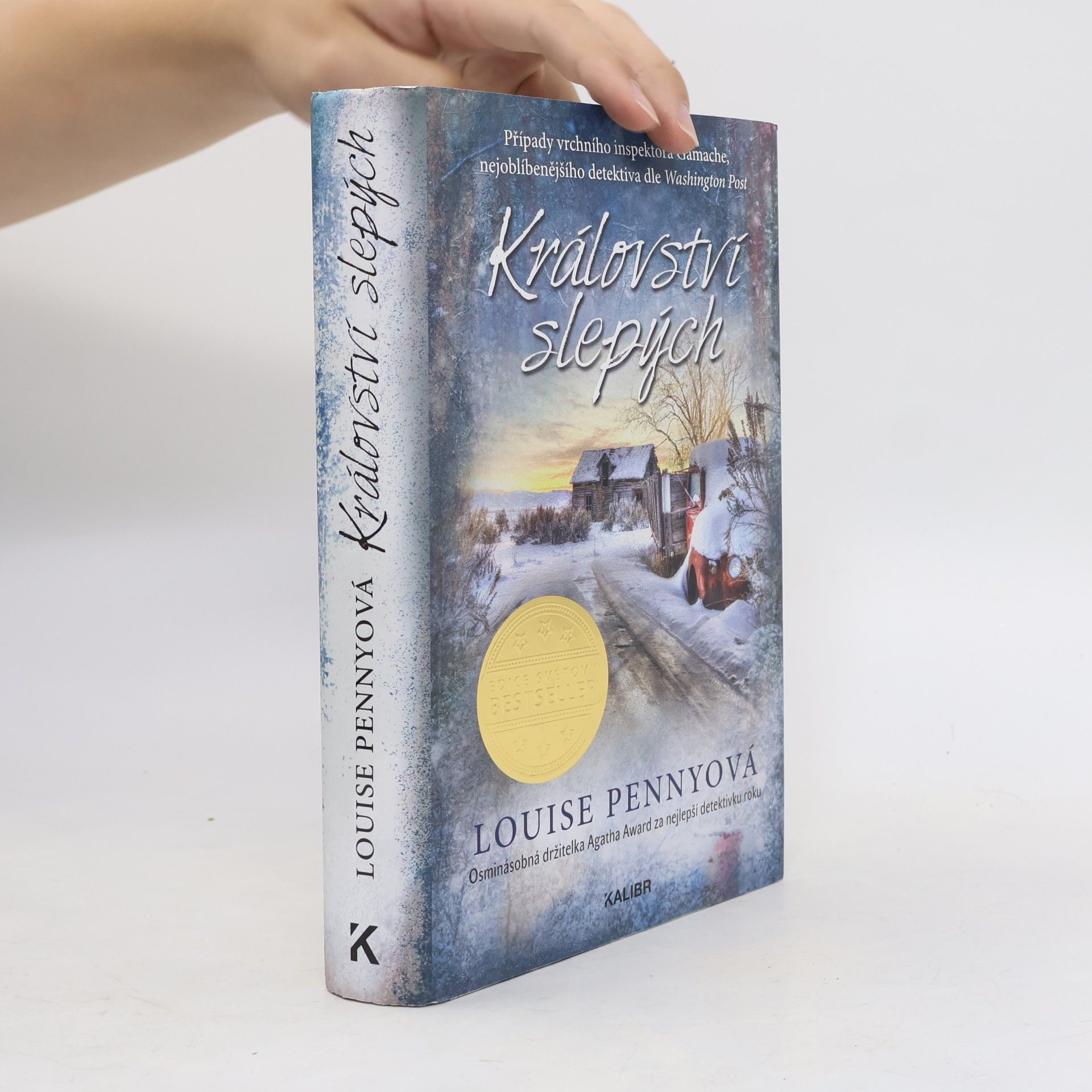 Louise Penny Království slepých