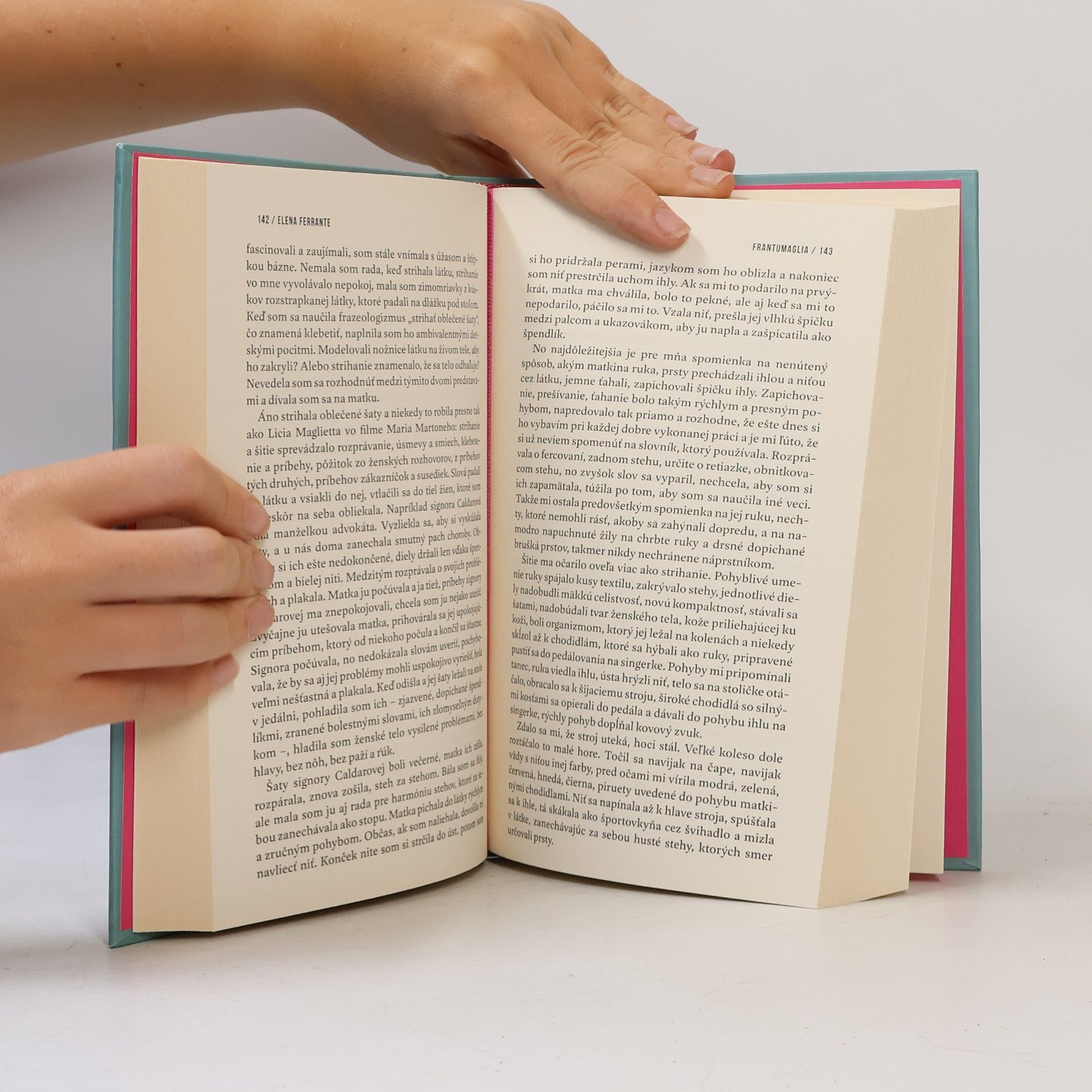 Elena Ferrante Frantumaglia