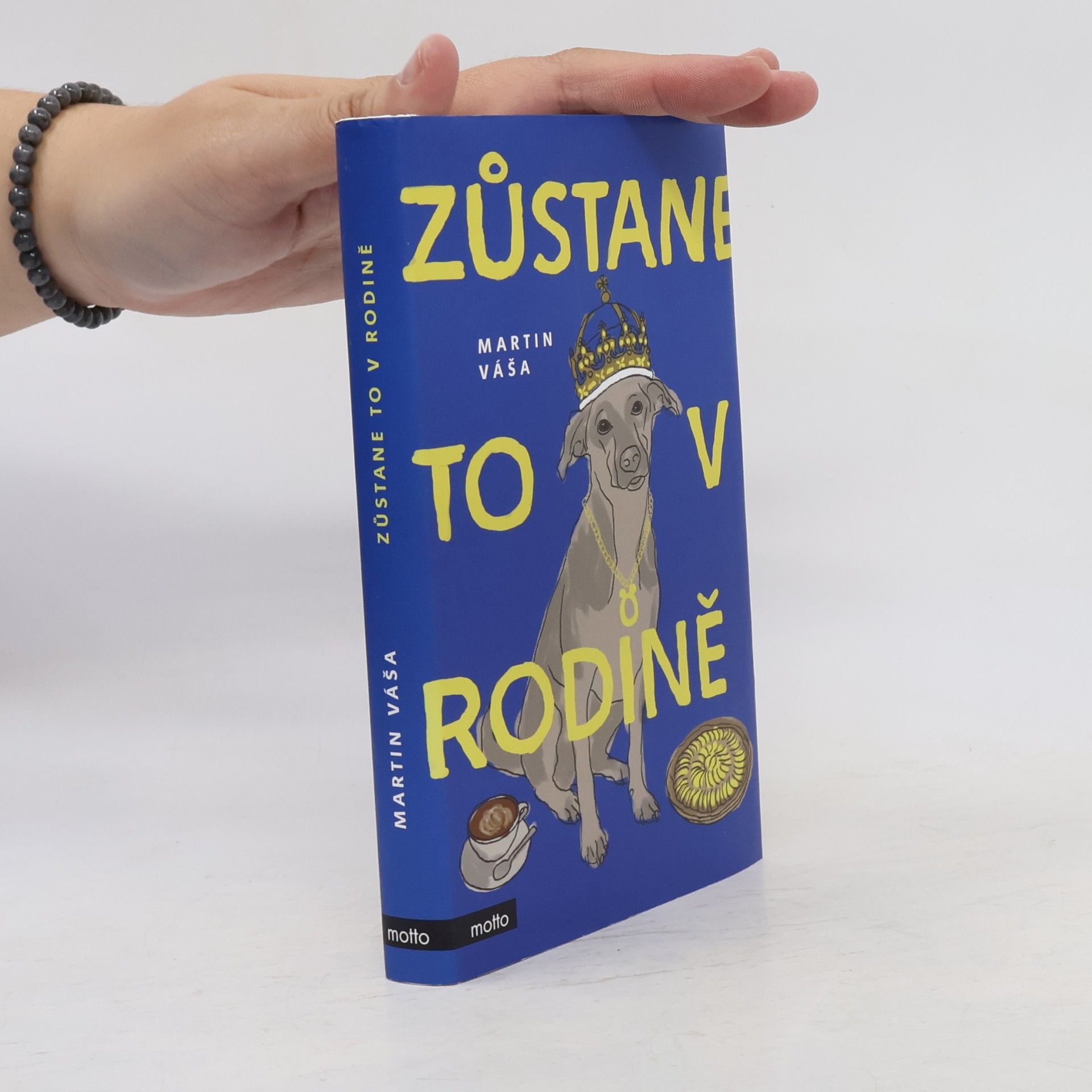Martin Váša Zůstane to v rodině