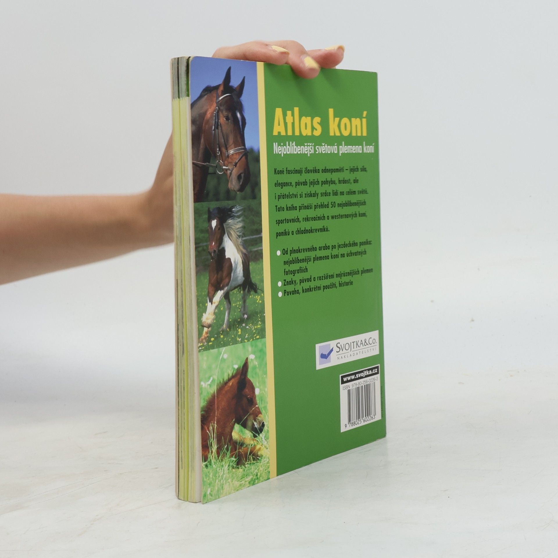 Autorenkollektiv Atlas koní