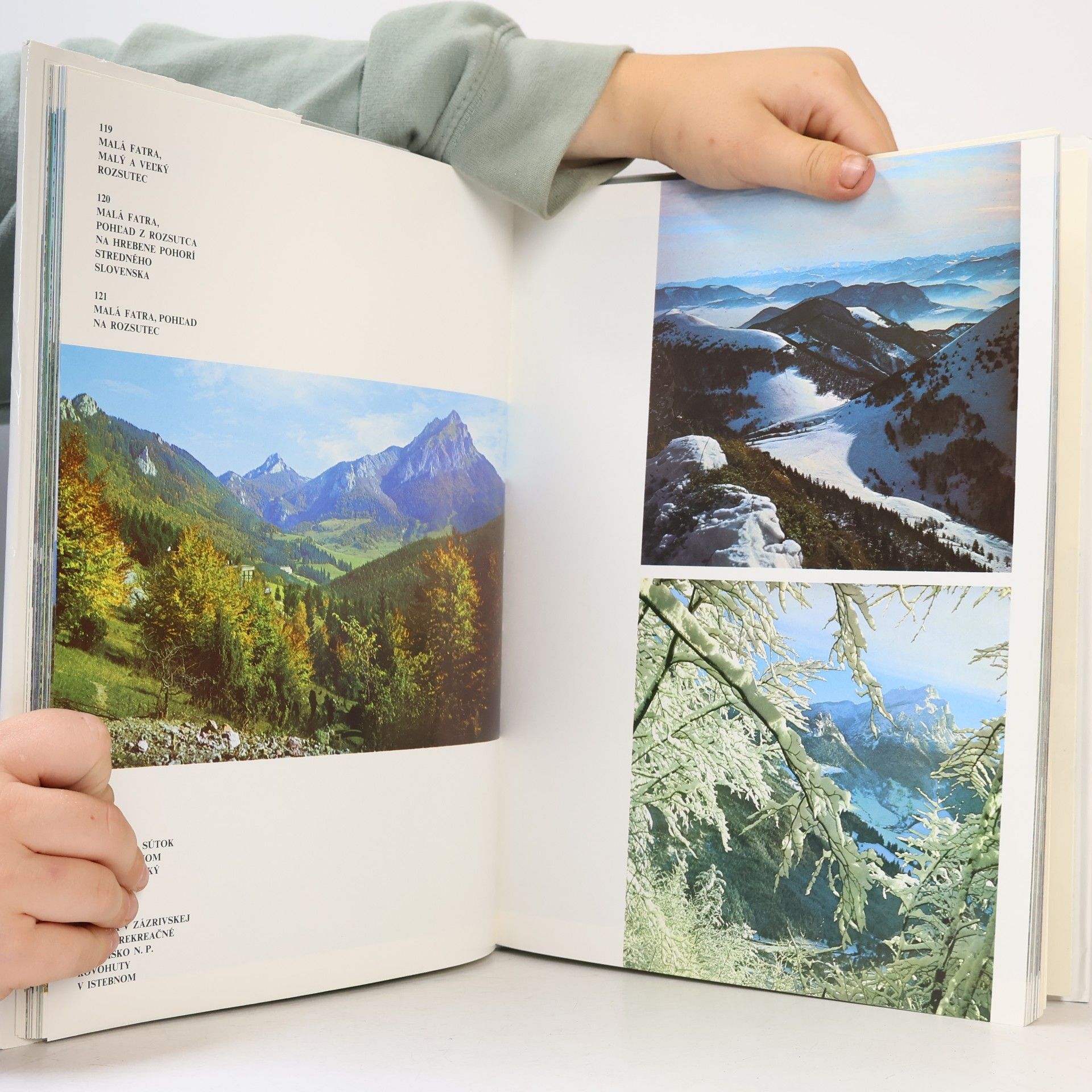 Various authors Slovensko