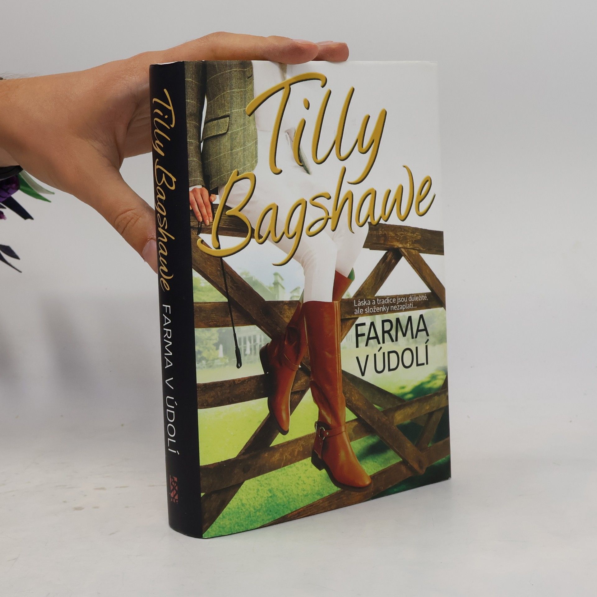 Tilly Bagshawe Farma v údolí