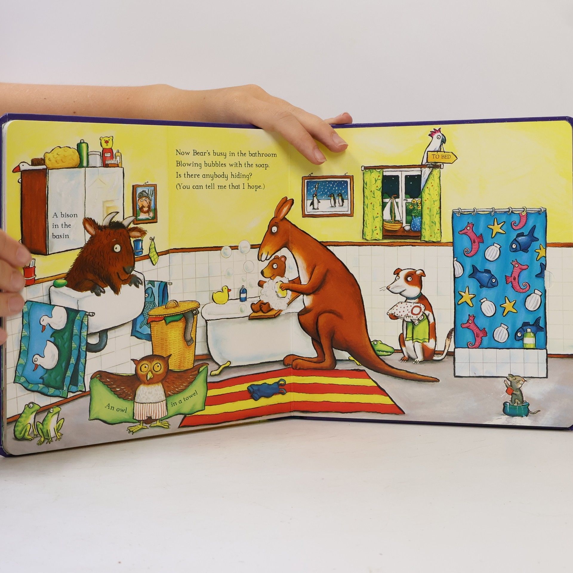 Axel Scheffler The Bedtime Bear