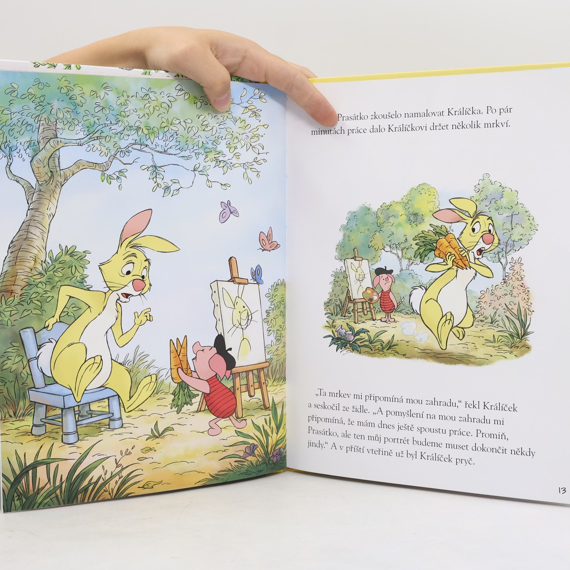 Walt Disney Medvídek Pú - Obrazy přátelství
