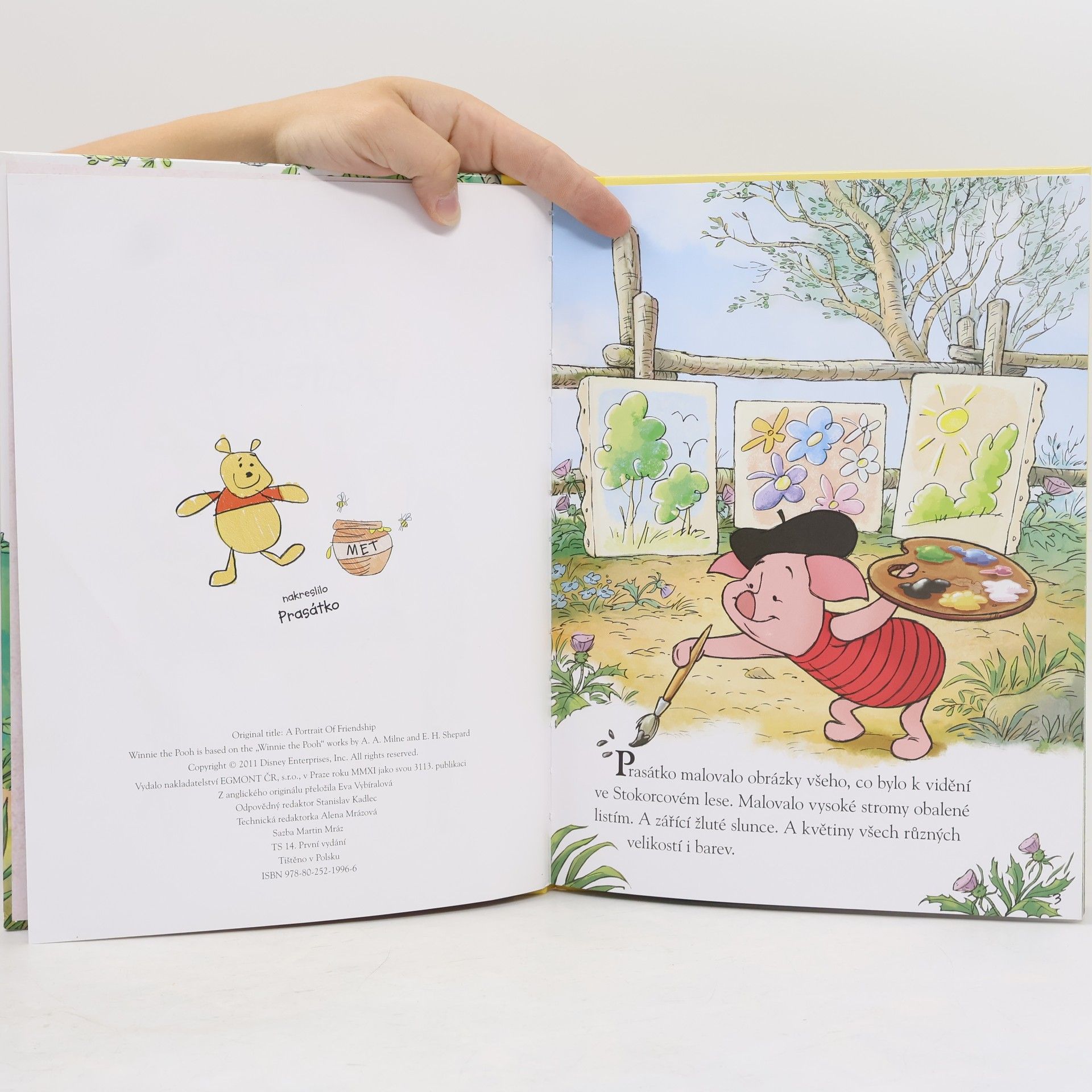Walt Disney Medvídek Pú - Obrazy přátelství
