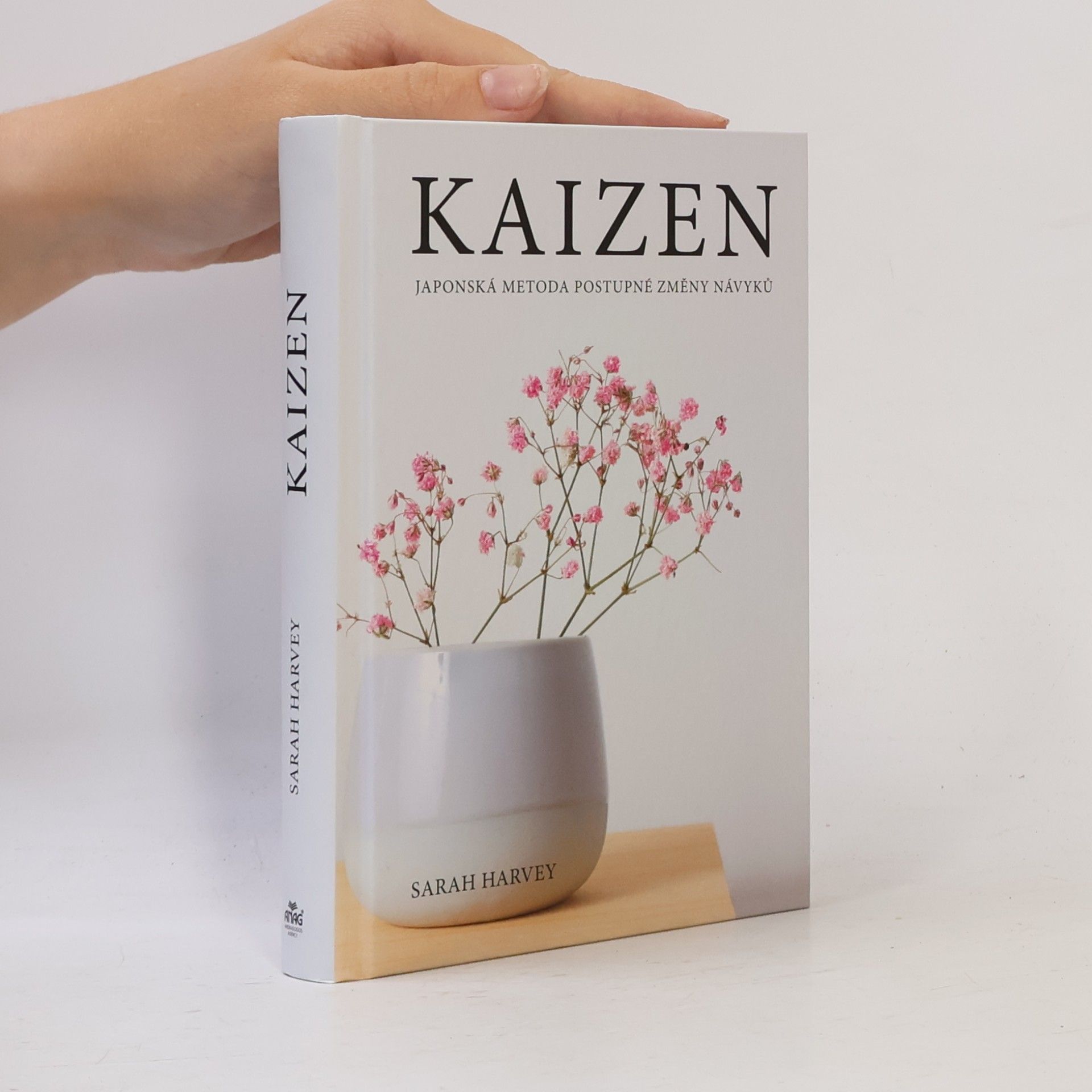 Sarah Harvey Kaizen: Japonská metoda postupné změny návyků