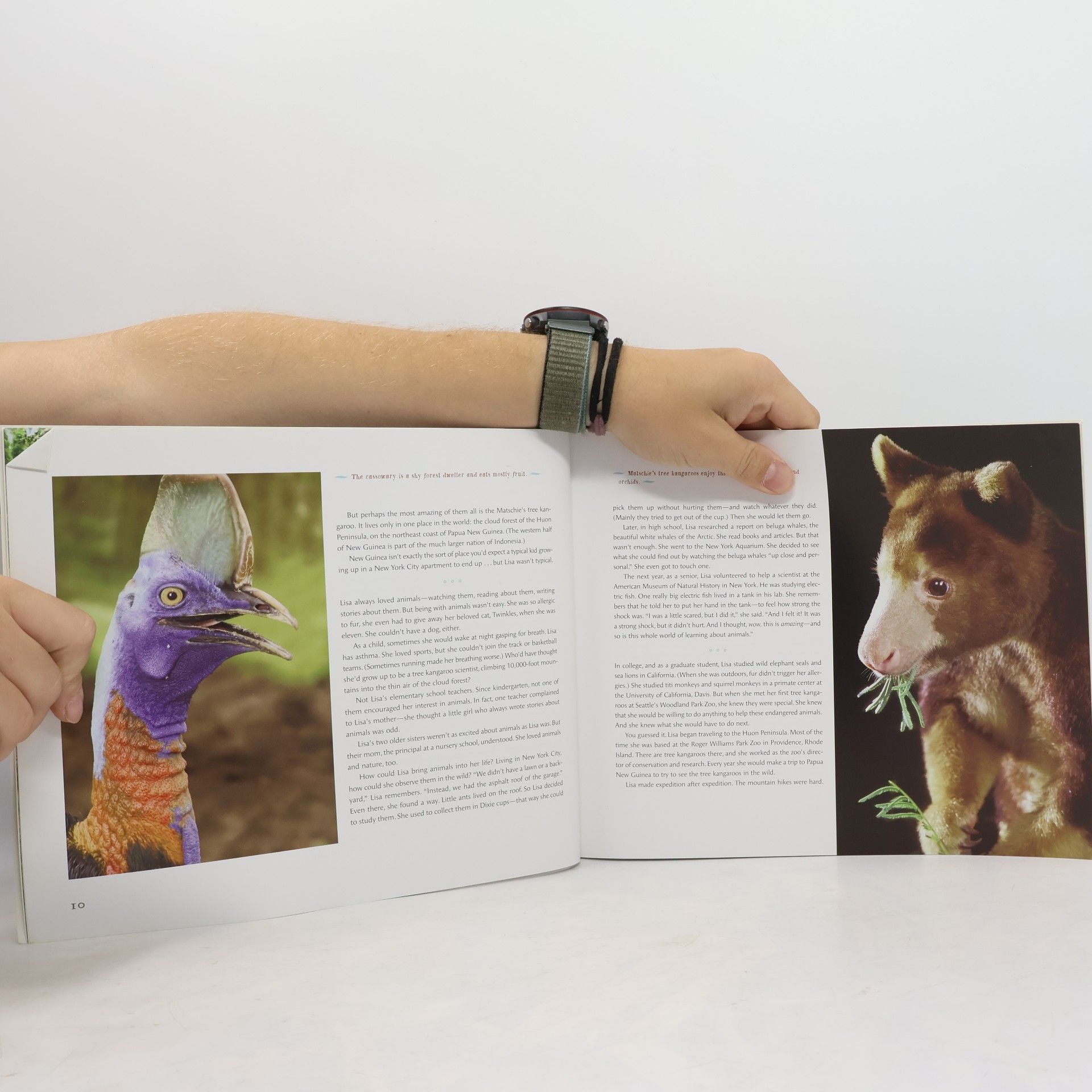 Sy Montgomery Scientists in the Field: The Quest for the Tree Kangaroo